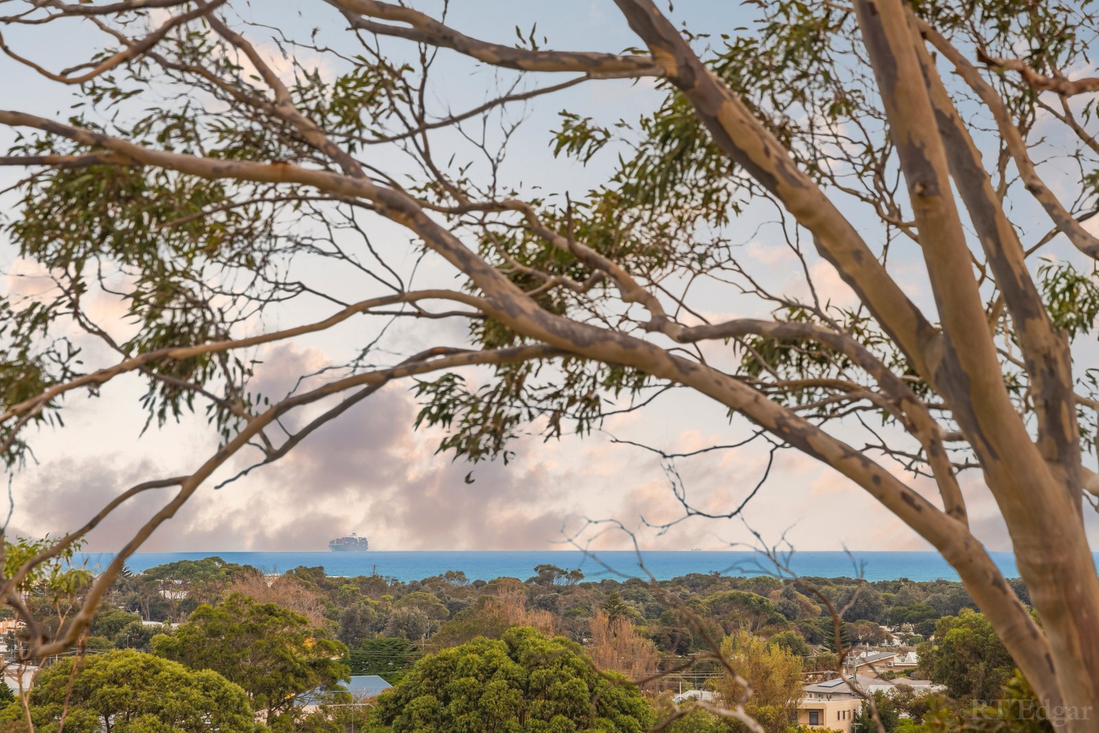 Real Estate and Property in 8B Driftwood Street, Ocean Grove, VIC