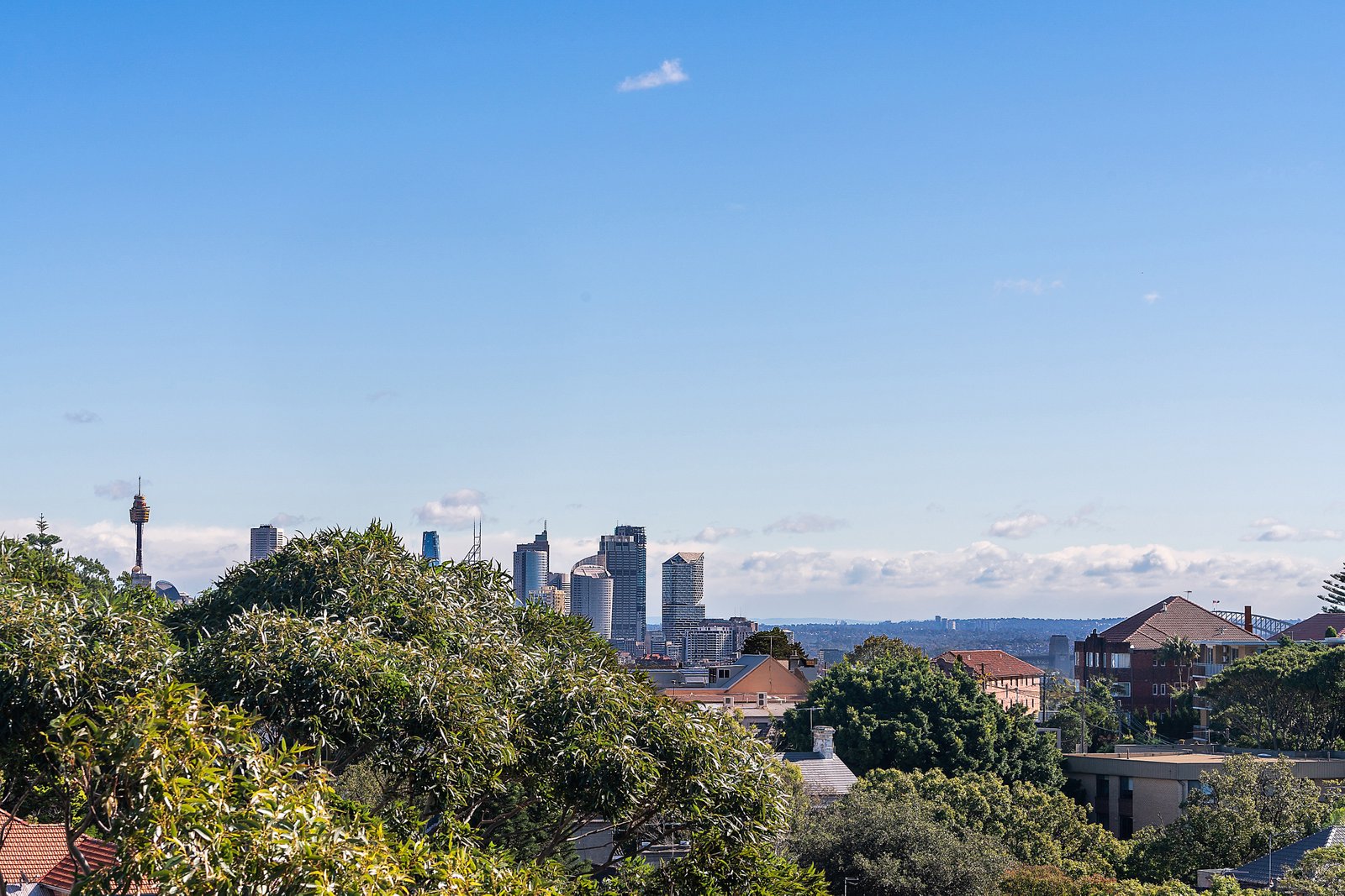 8D/39-41 Penkivil Street BONDI 3