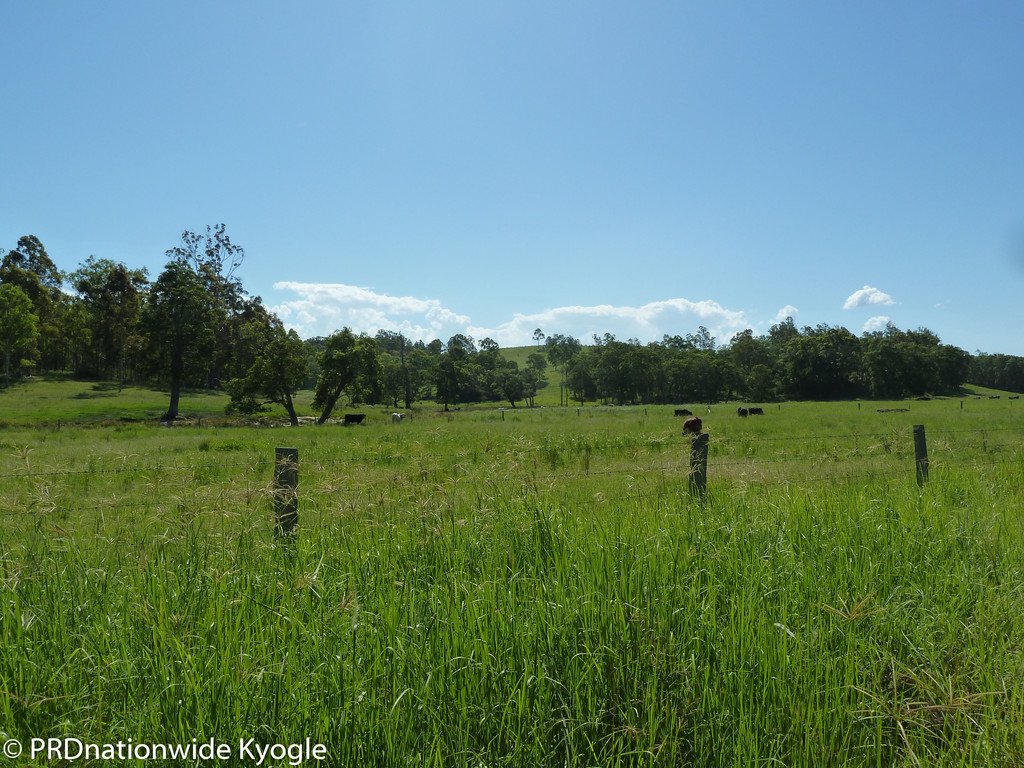 8//DP1152135 Pigman Road, Dyraaba  KYOGLE 10