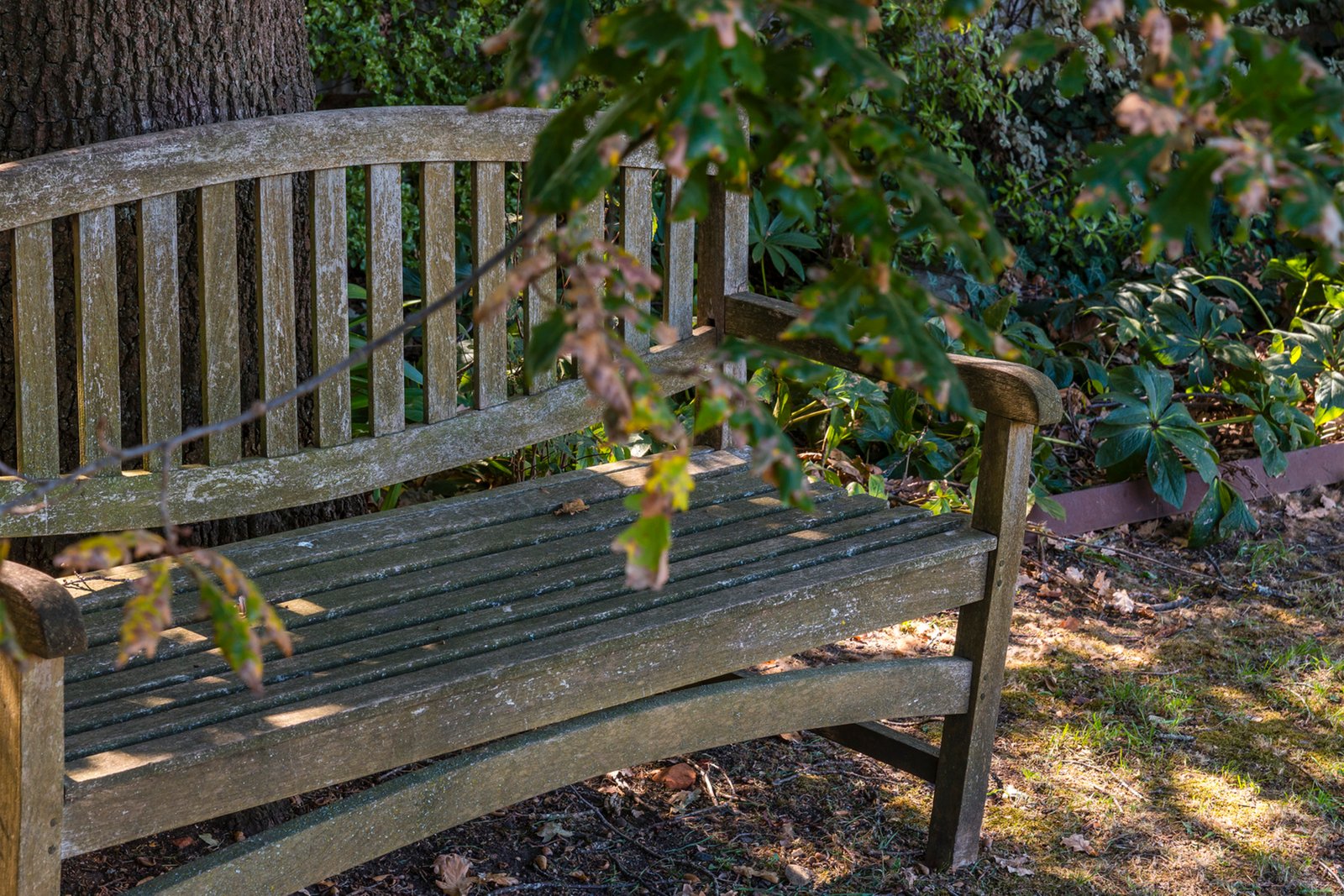 Real Estate and Property in 9 -11 Mair Street, Kyneton, VIC