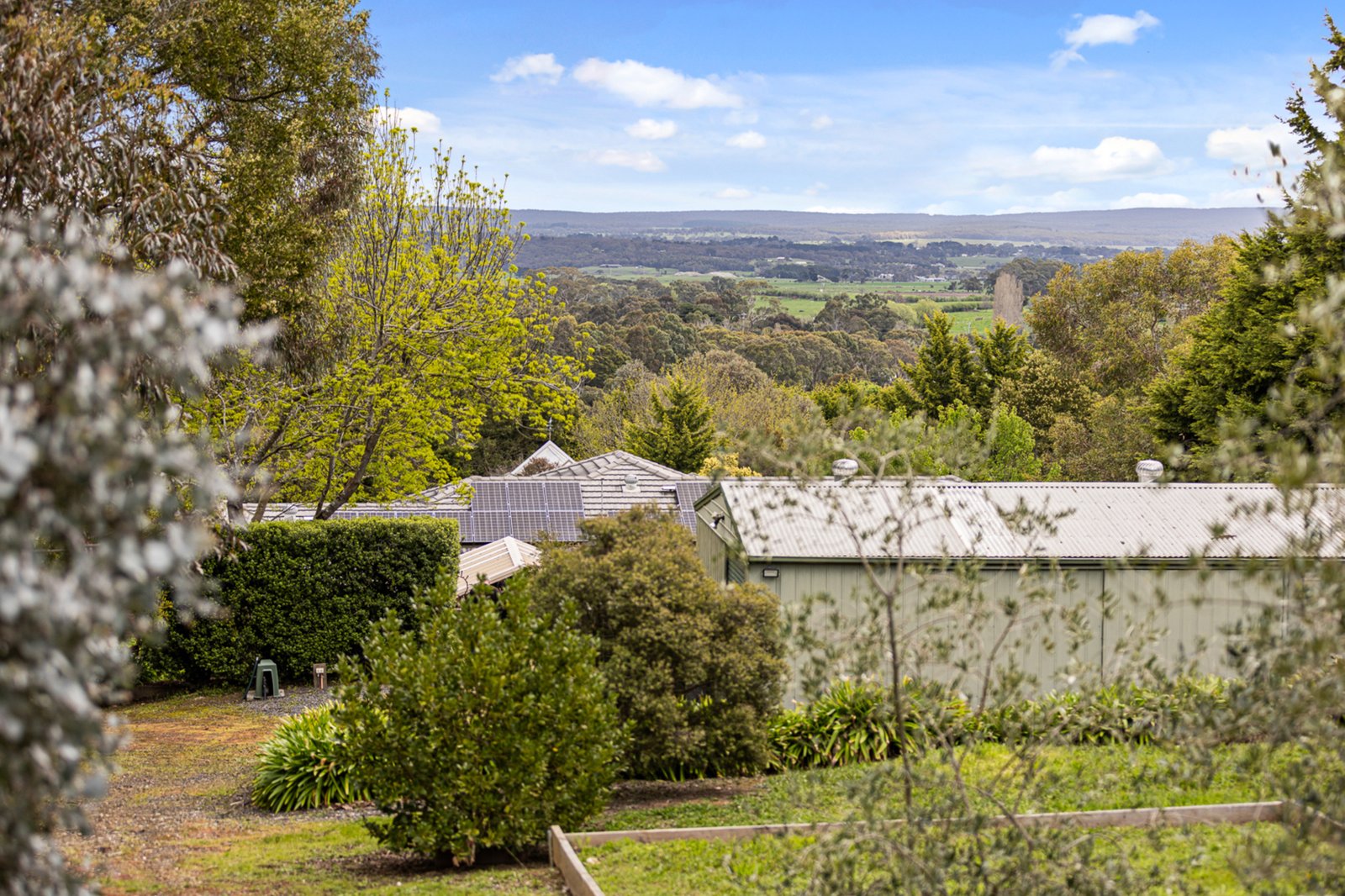 Gallery: 9 Allan Street