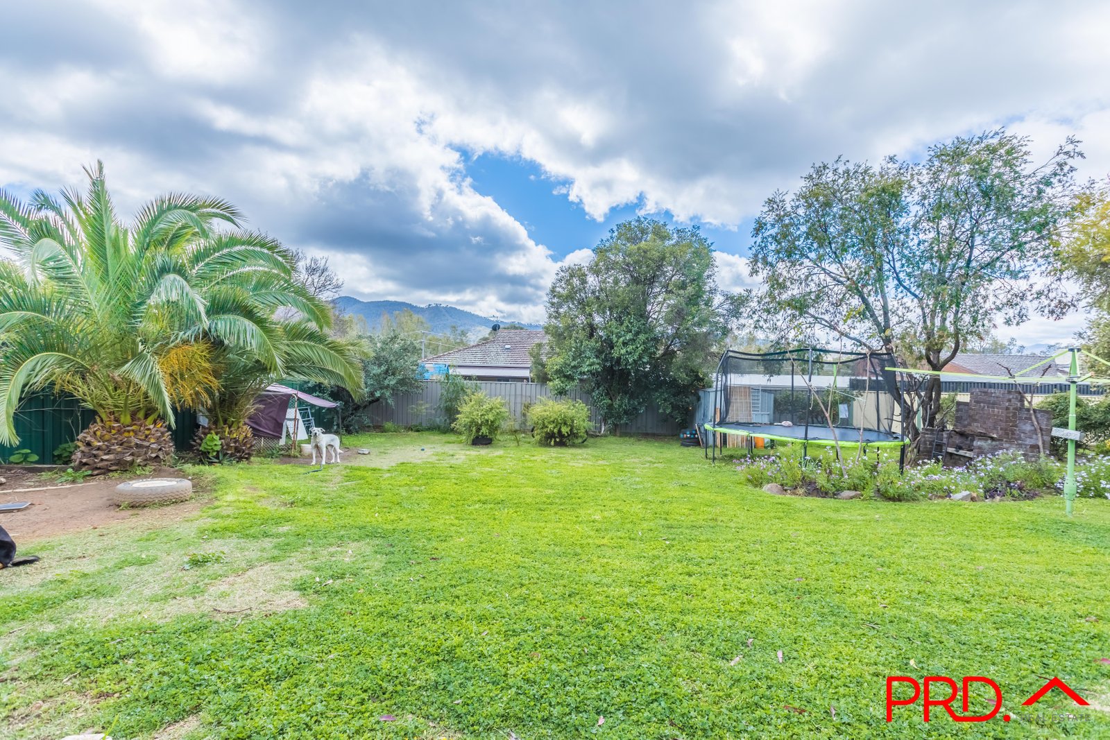 9 Andrew Avenue TAMWORTH 14