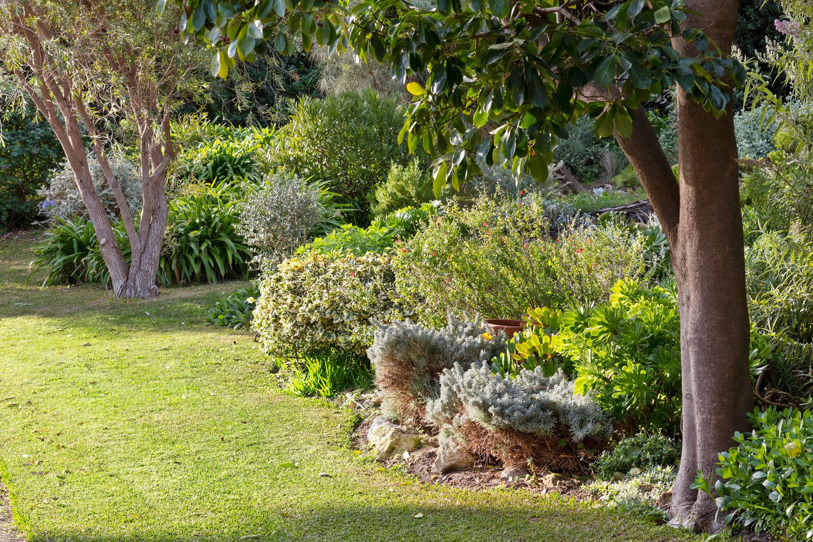 Real Estate and Property in 9 Bell Street, Barwon Heads, VIC