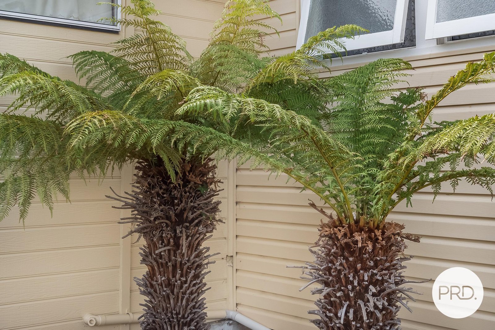 9 Bonar Place GLENORCHY 20