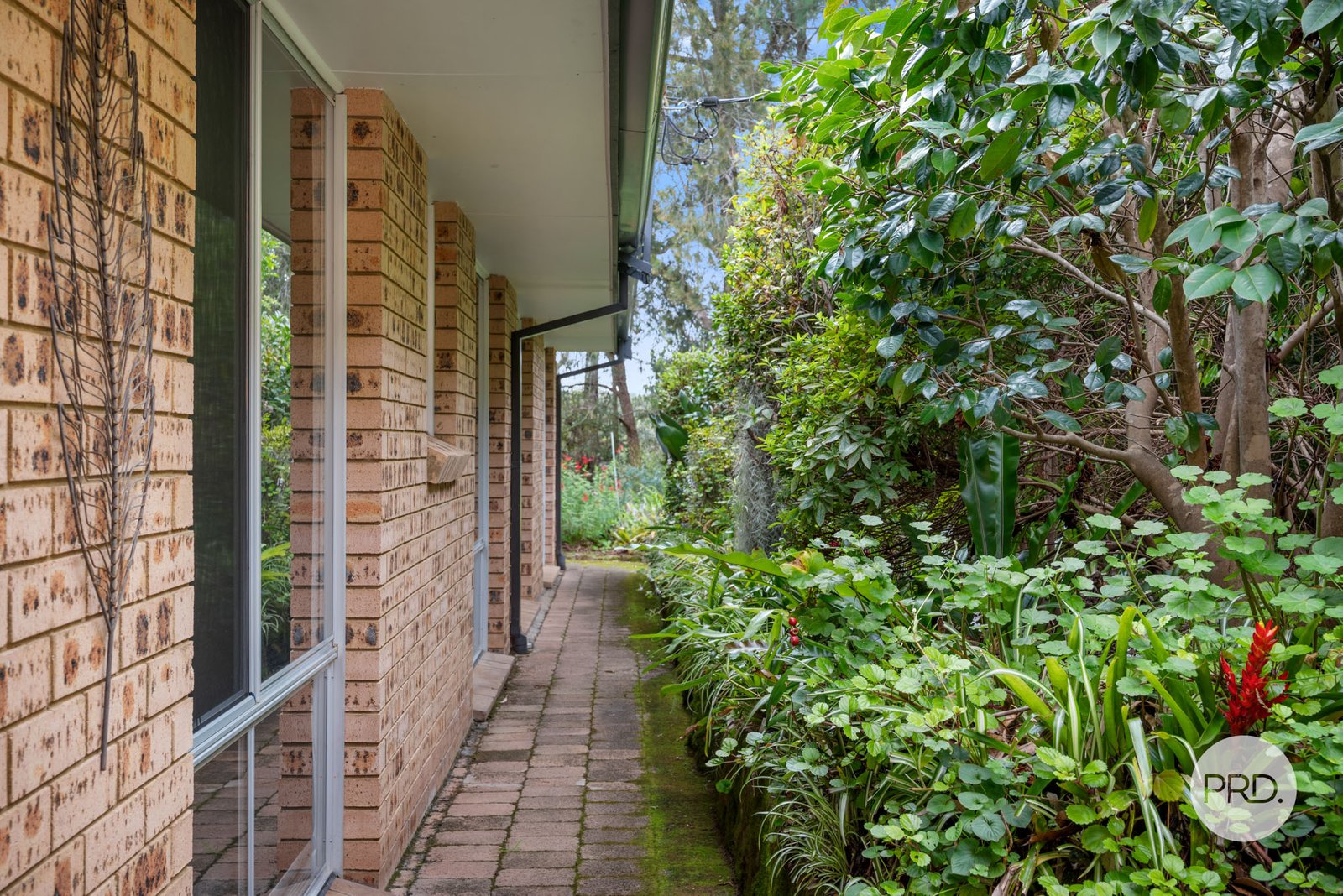 9 Burns Place SPRINGWOOD 15