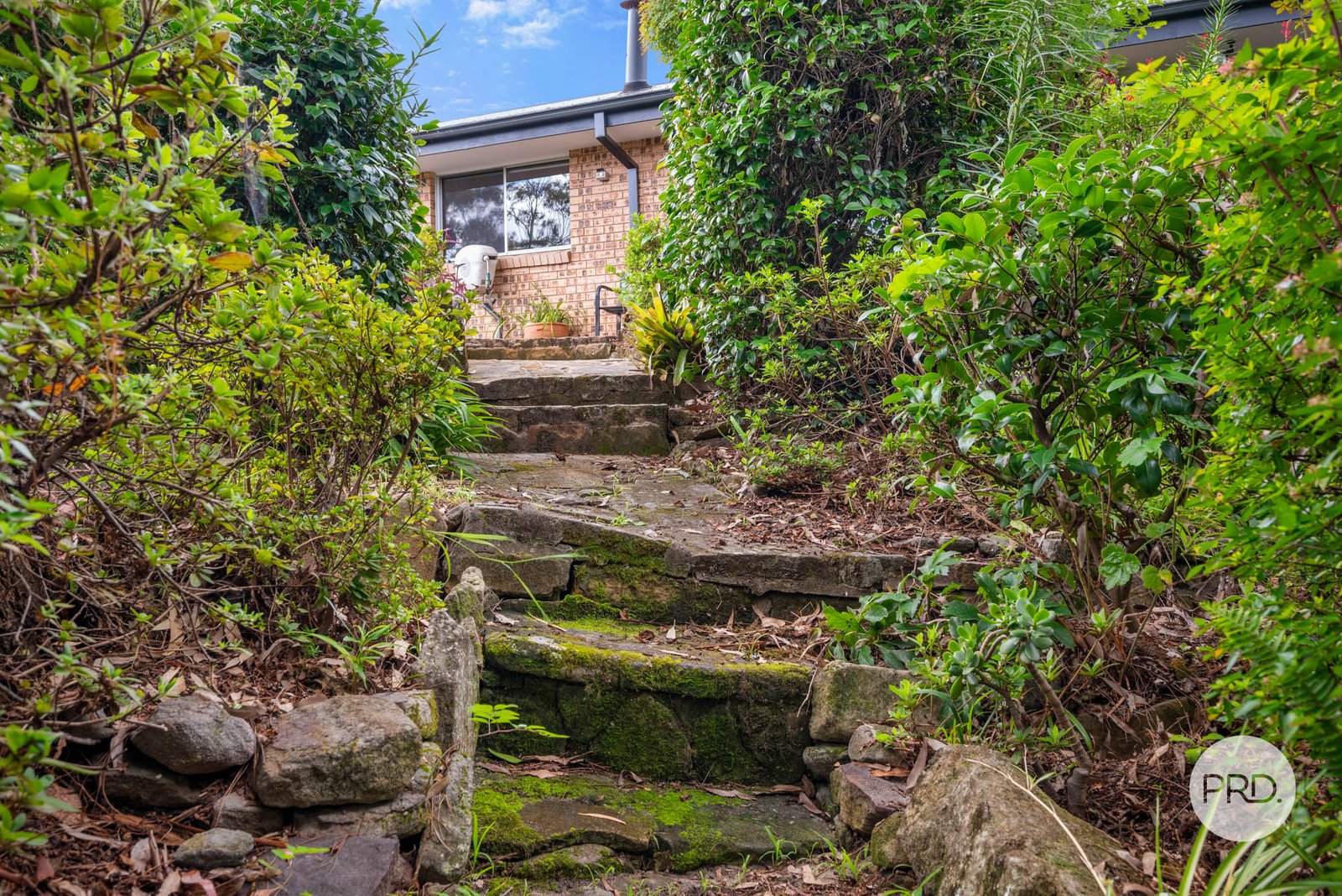 9 Burns Place SPRINGWOOD 18