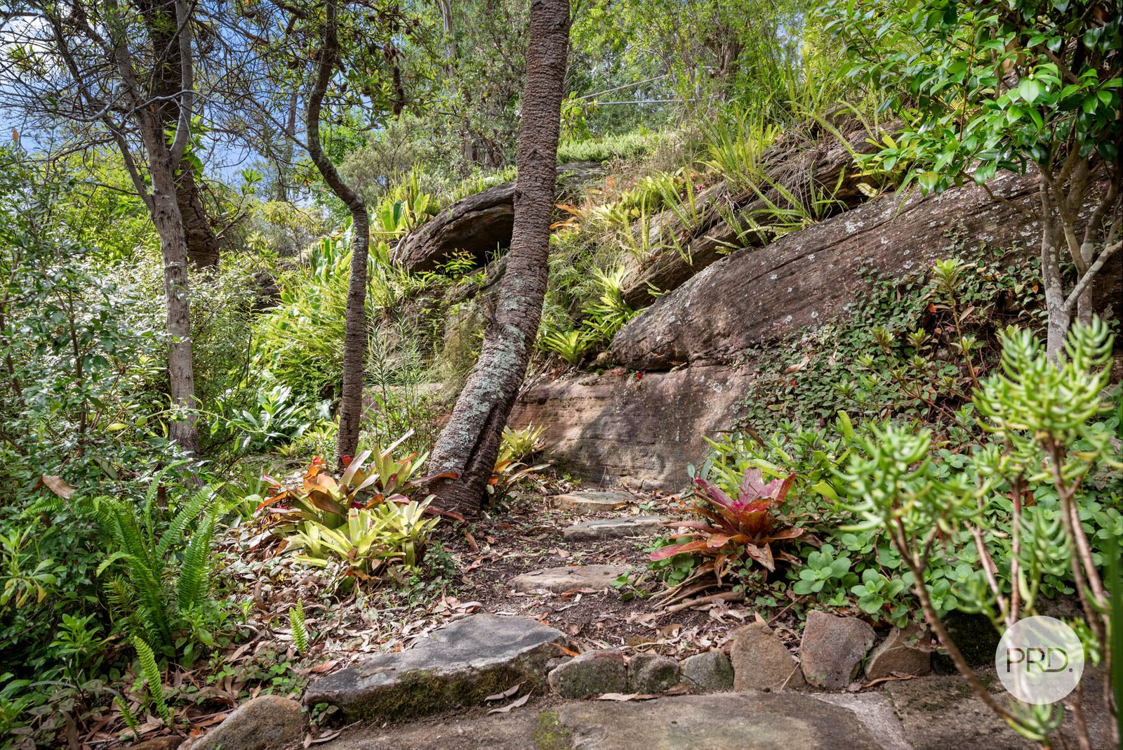 9 Burns Place SPRINGWOOD 24