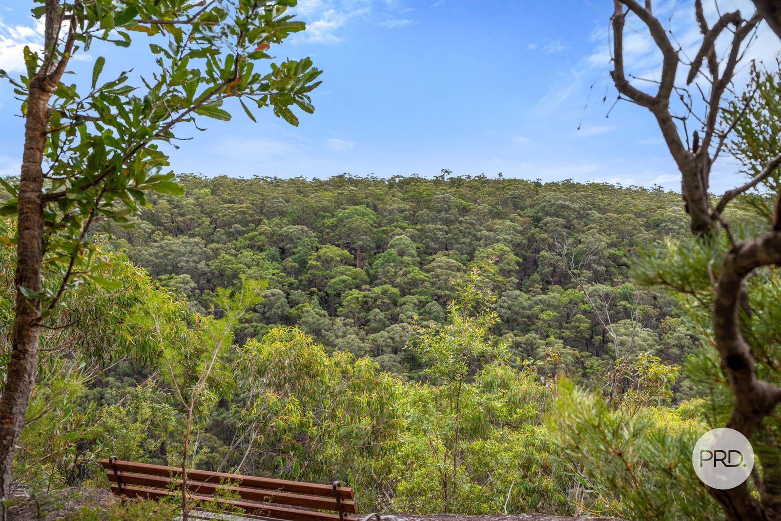 9 Burns Place SPRINGWOOD 26