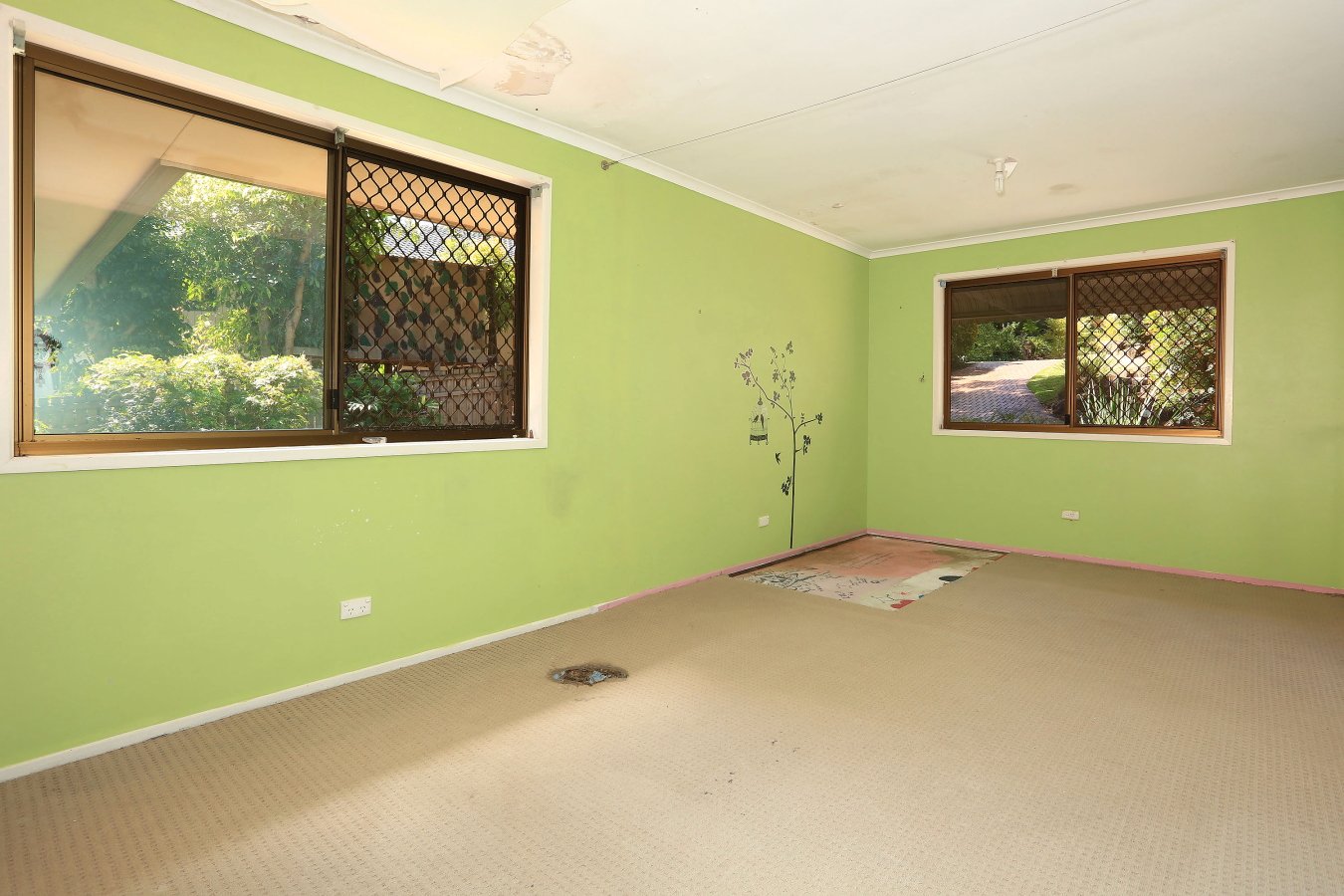 9 Cameron Court ASHMORE 12
