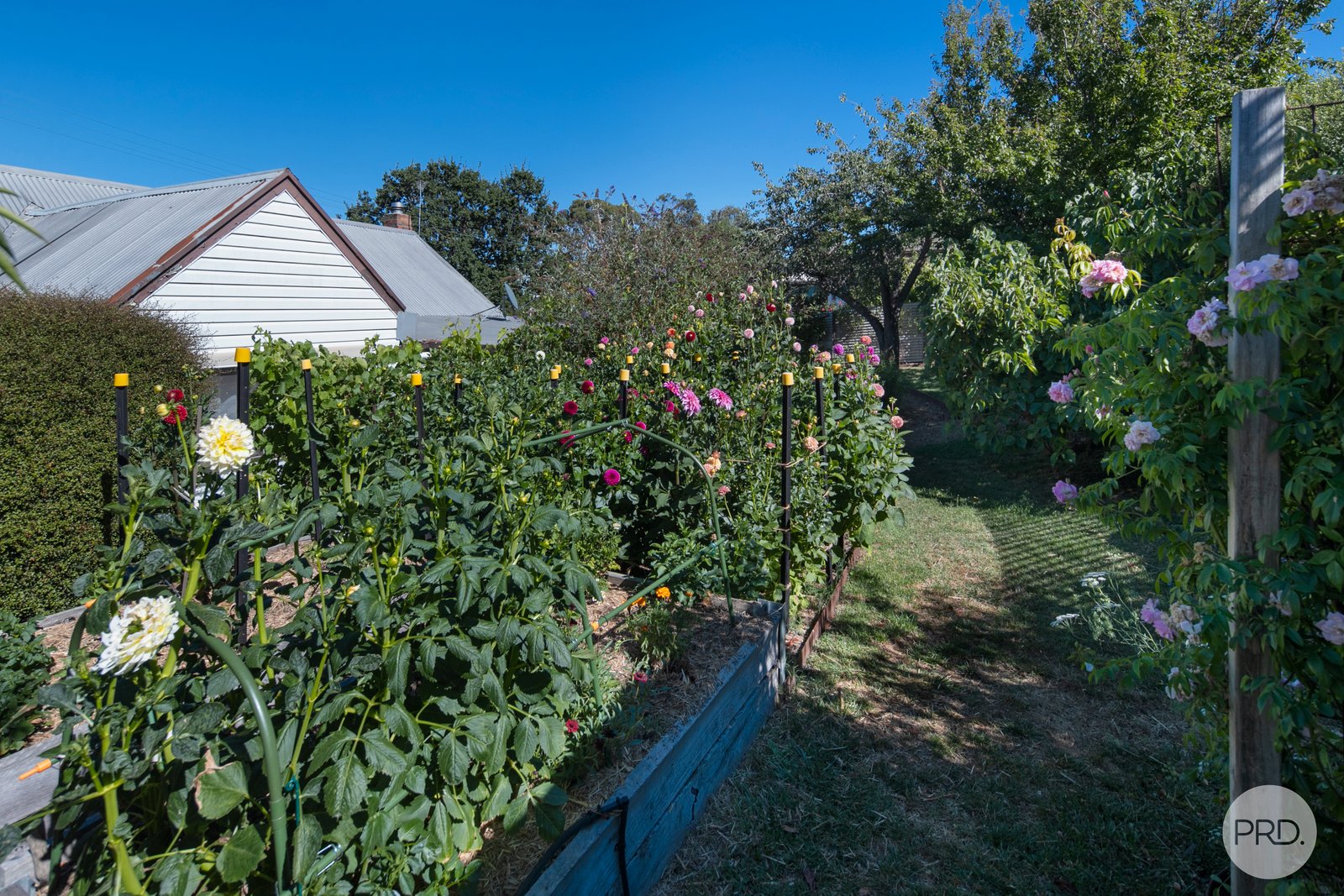 9 Camp Street CRESWICK 15