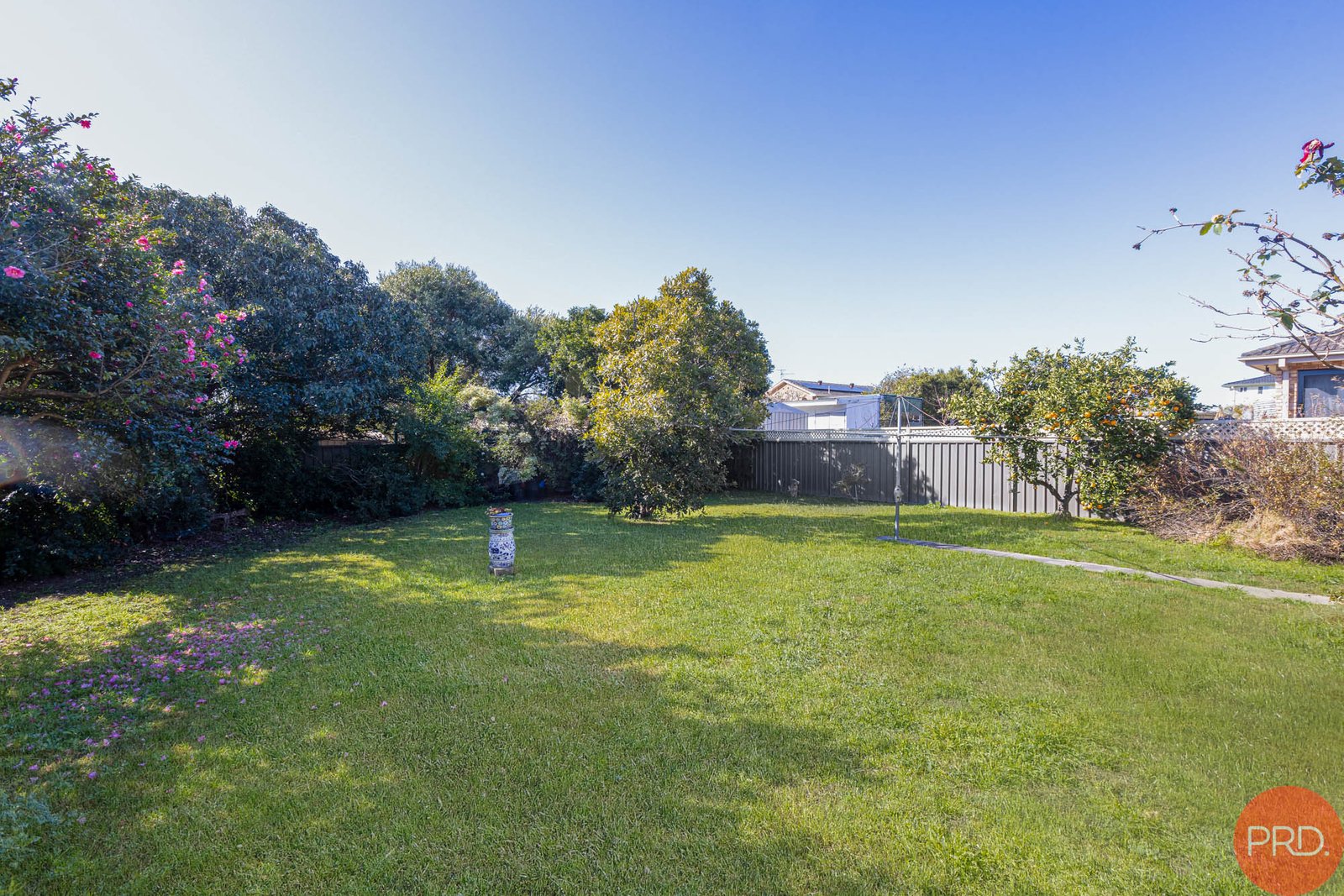 9 Clyde Street RUTHERFORD 11