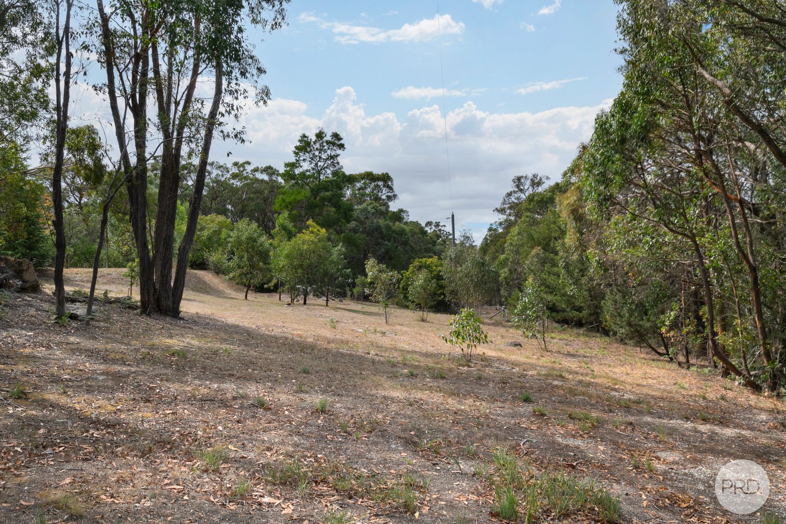 9 Cochrane Drive SNAKE VALLEY 17