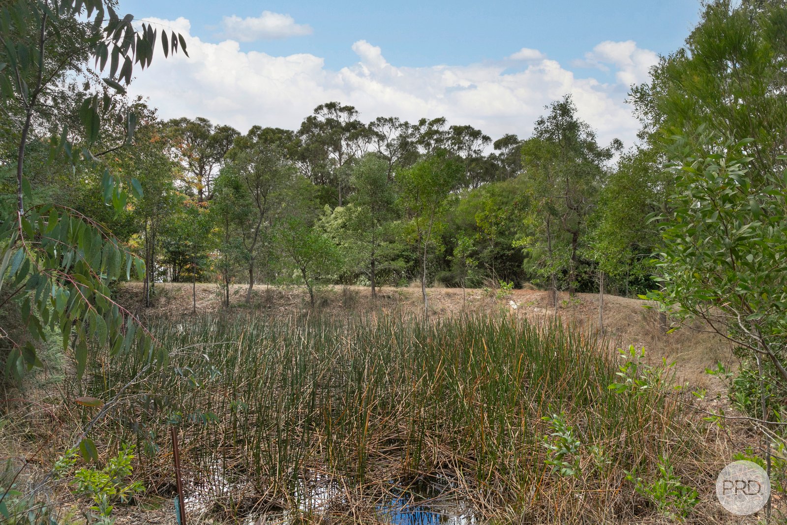 9 Cochrane Drive SNAKE VALLEY 19