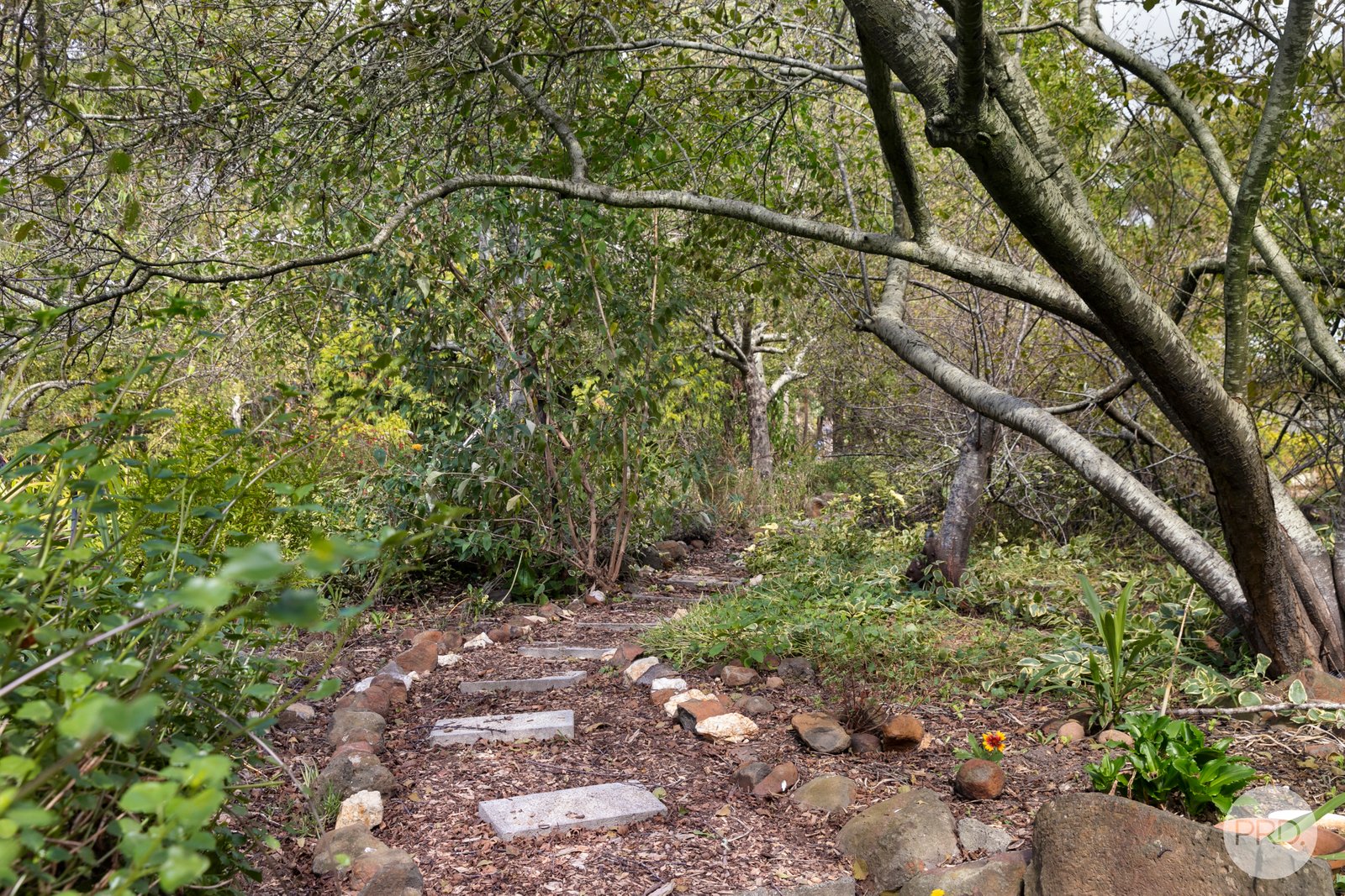 9 Cochrane Drive SNAKE VALLEY 20