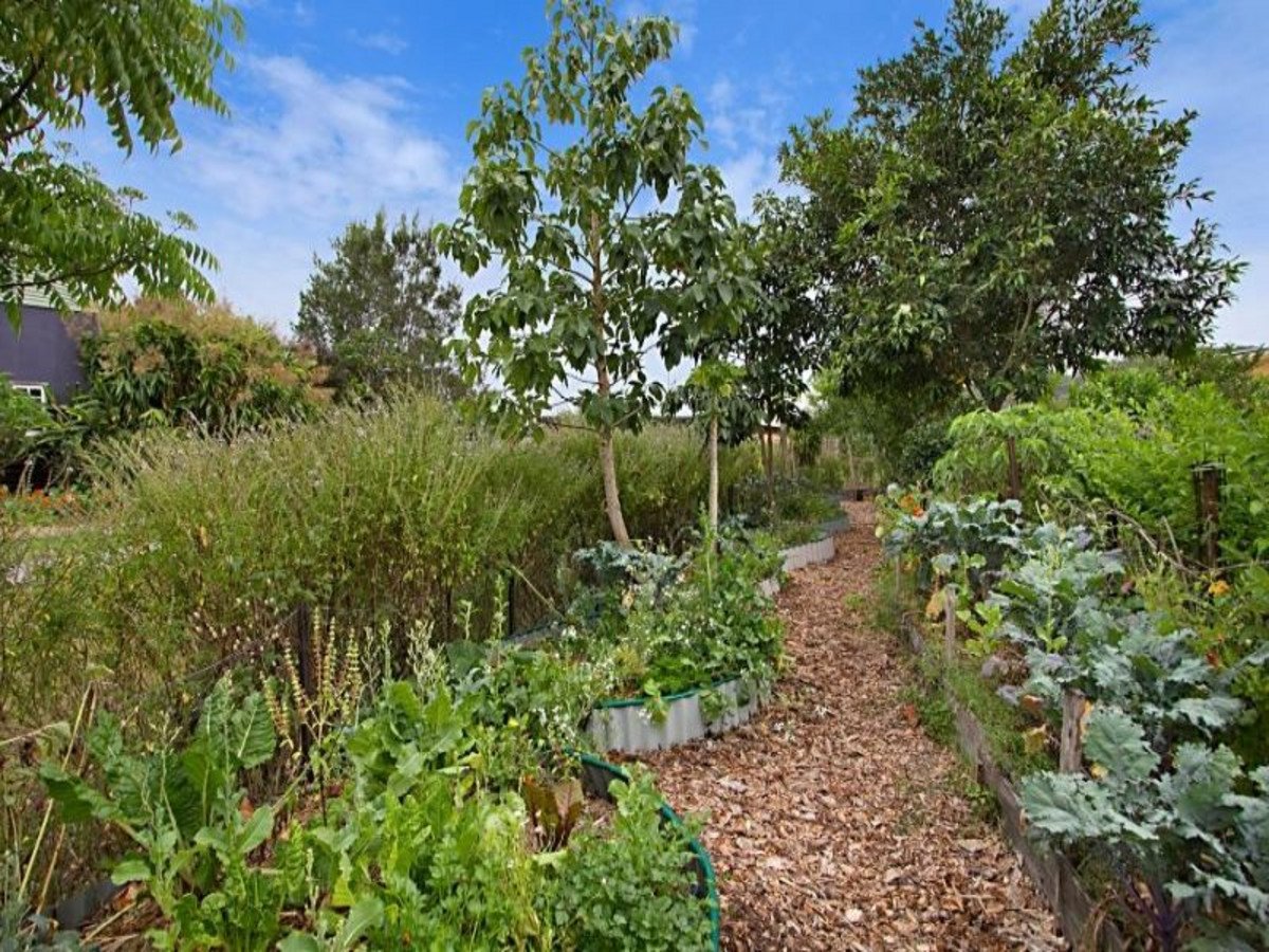 9 Coolamon View Currumbin Valley 9