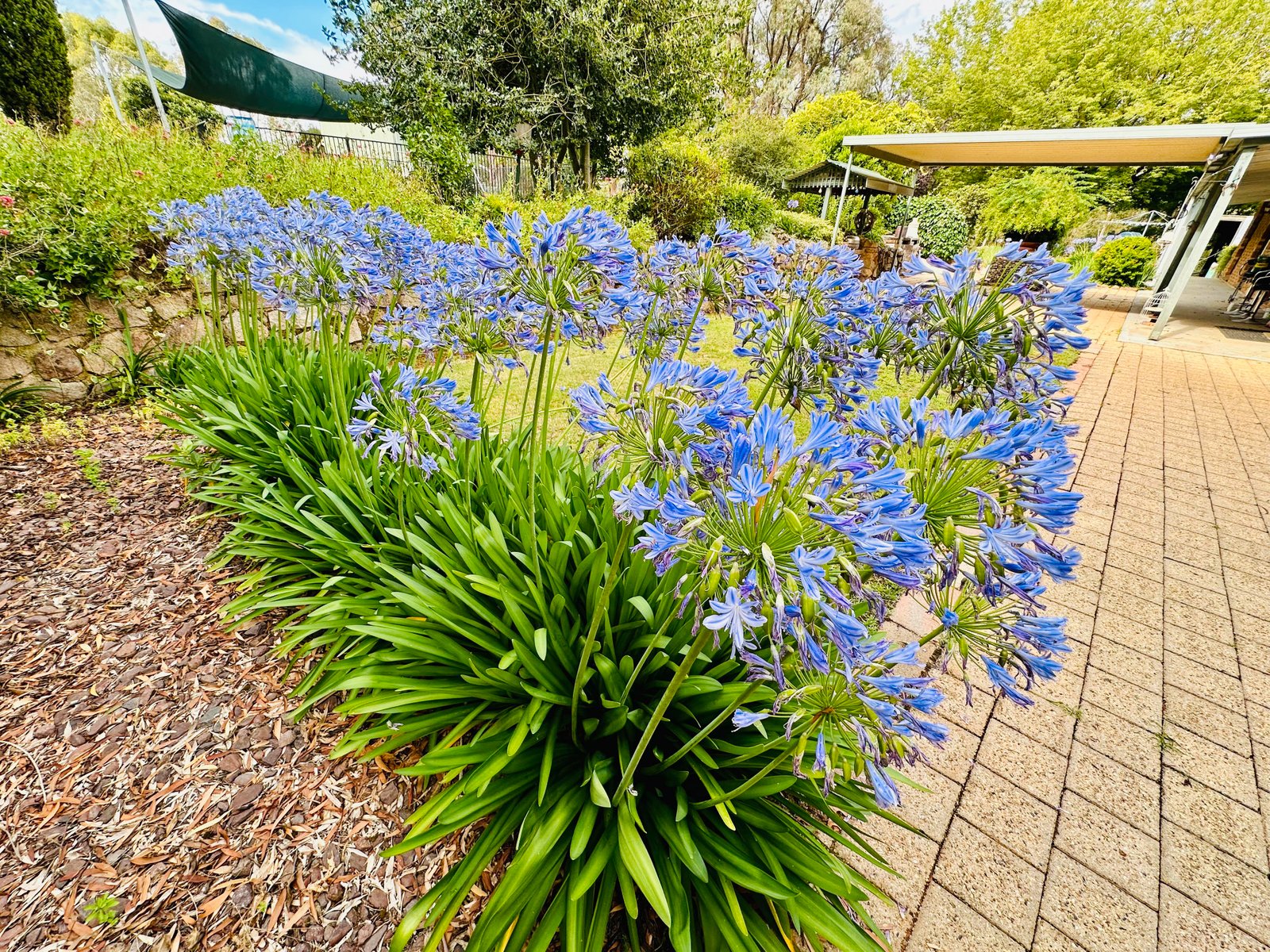 9 Coppabella Road TUMBARUMBA 22