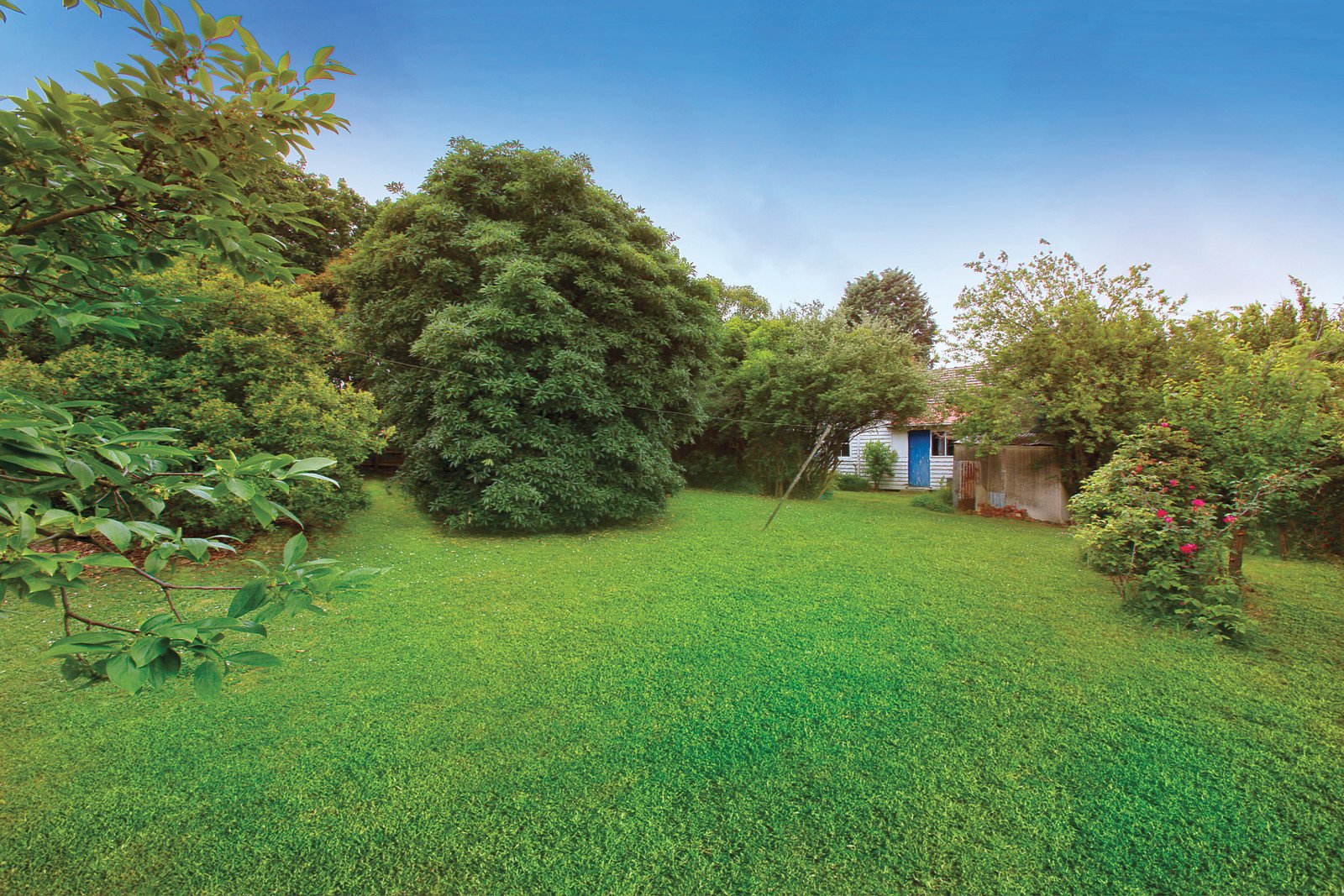 9 Cusdin Street, Glen Iris, VIC