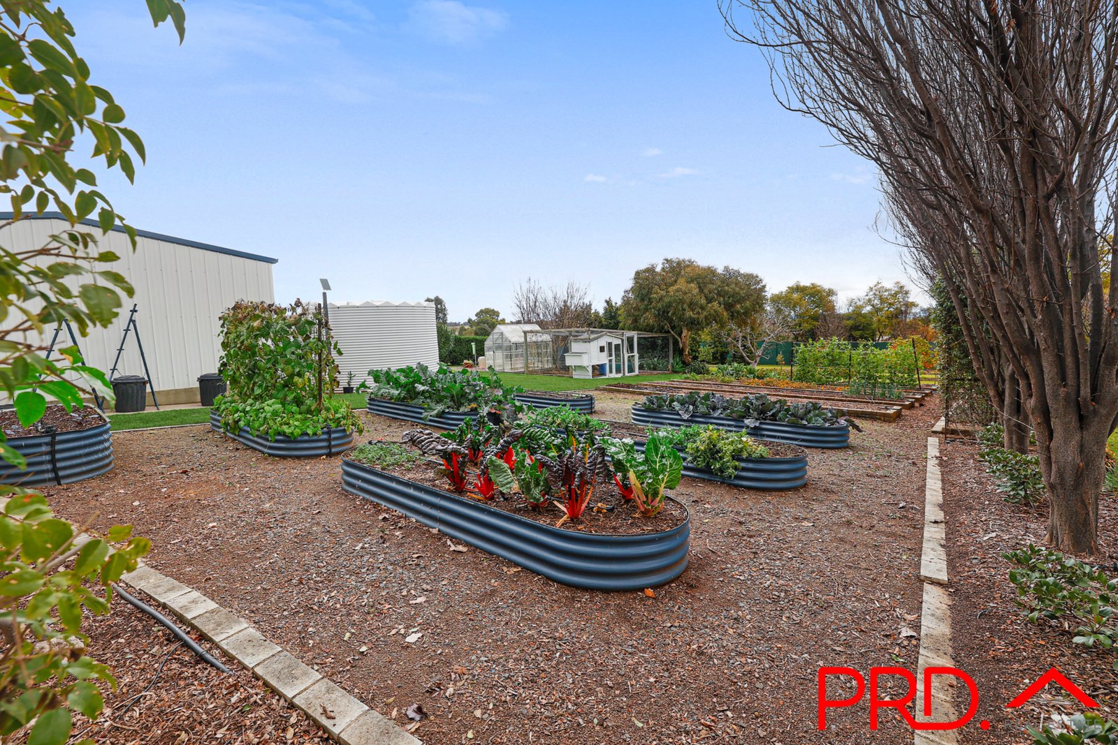 9 Daintree Circuit TAMWORTH 32