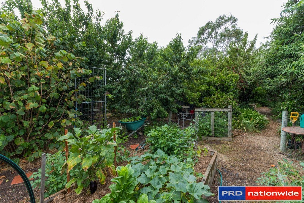 9 Falconer Place BUNGENDORE 21