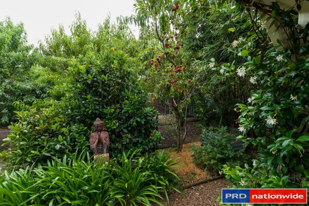 9 Falconer Place BUNGENDORE 22