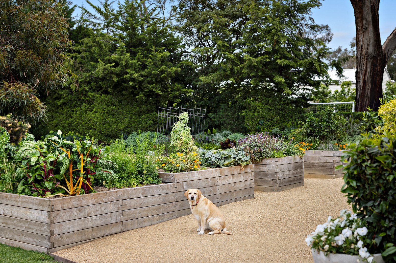 9 Fontayne Court, Frankston South, 3199