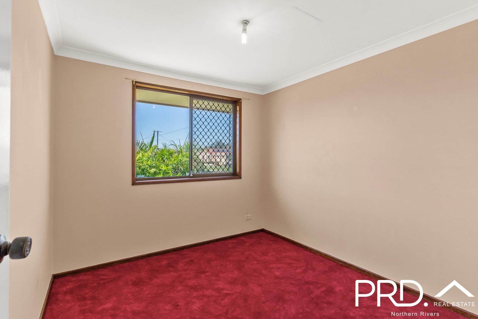 9 Frances Street CASINO 9