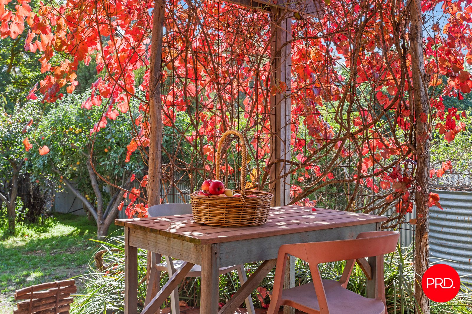 9 Gallway Street CASTLEMAINE 20