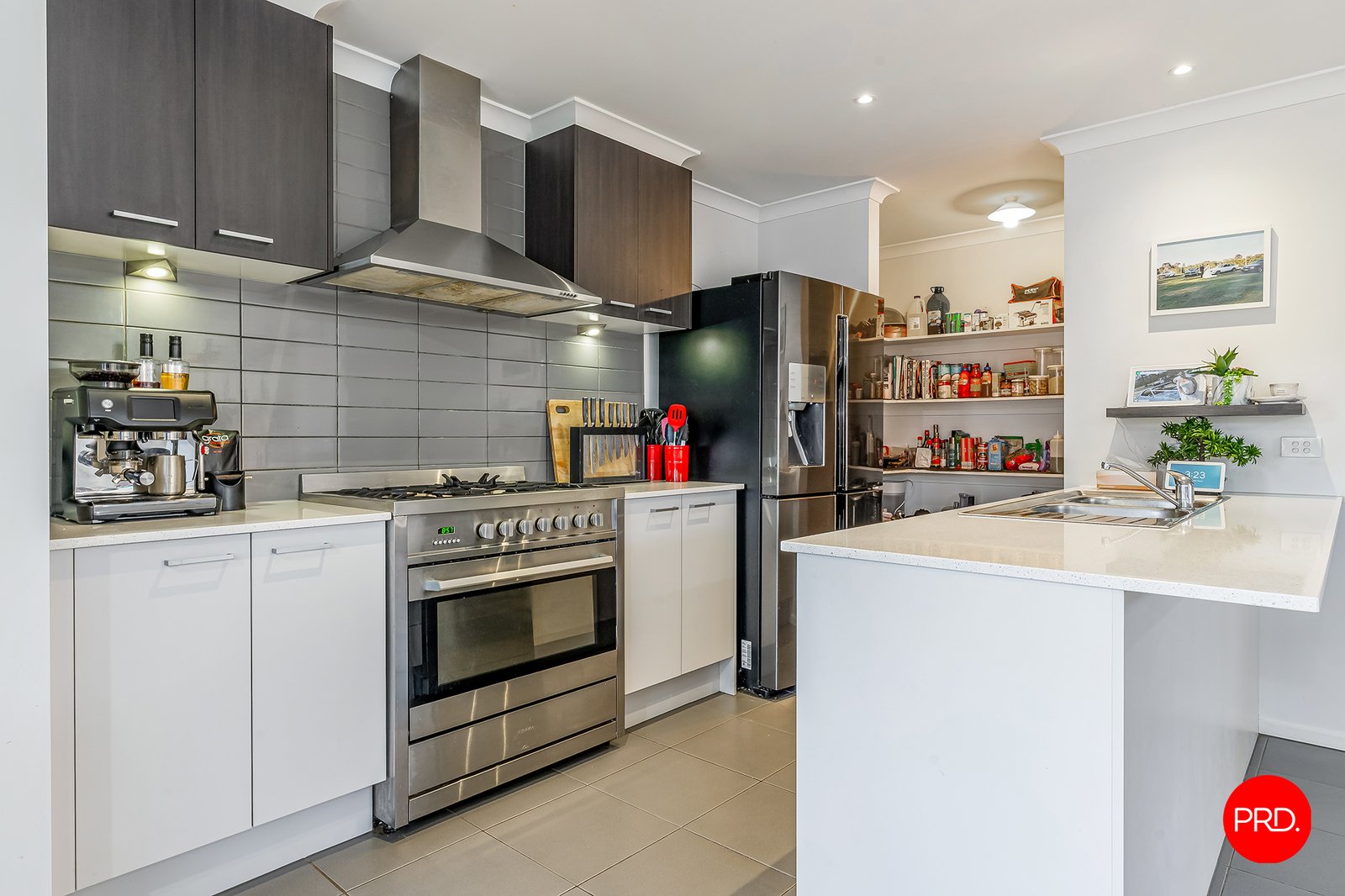 9 Gelbray Street ASCOT 2