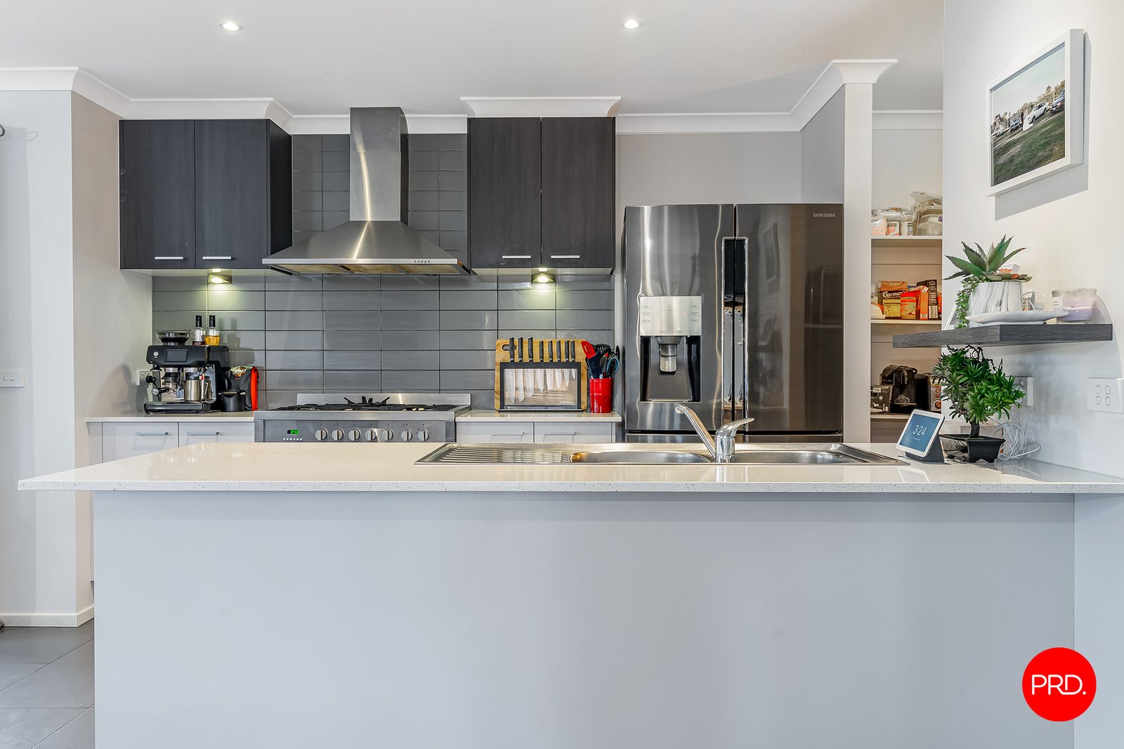 9 Gelbray Street ASCOT 3
