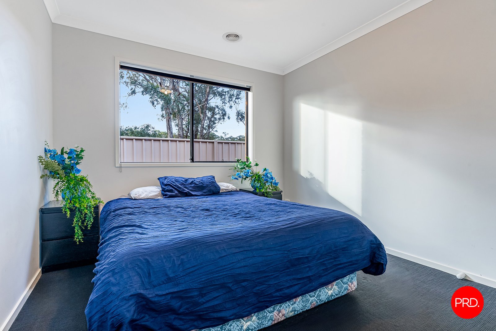 9 Gelbray Street ASCOT 8