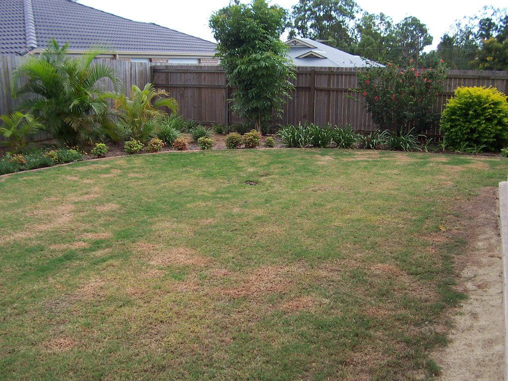 9 Greenwich Drive CARSELDINE 12