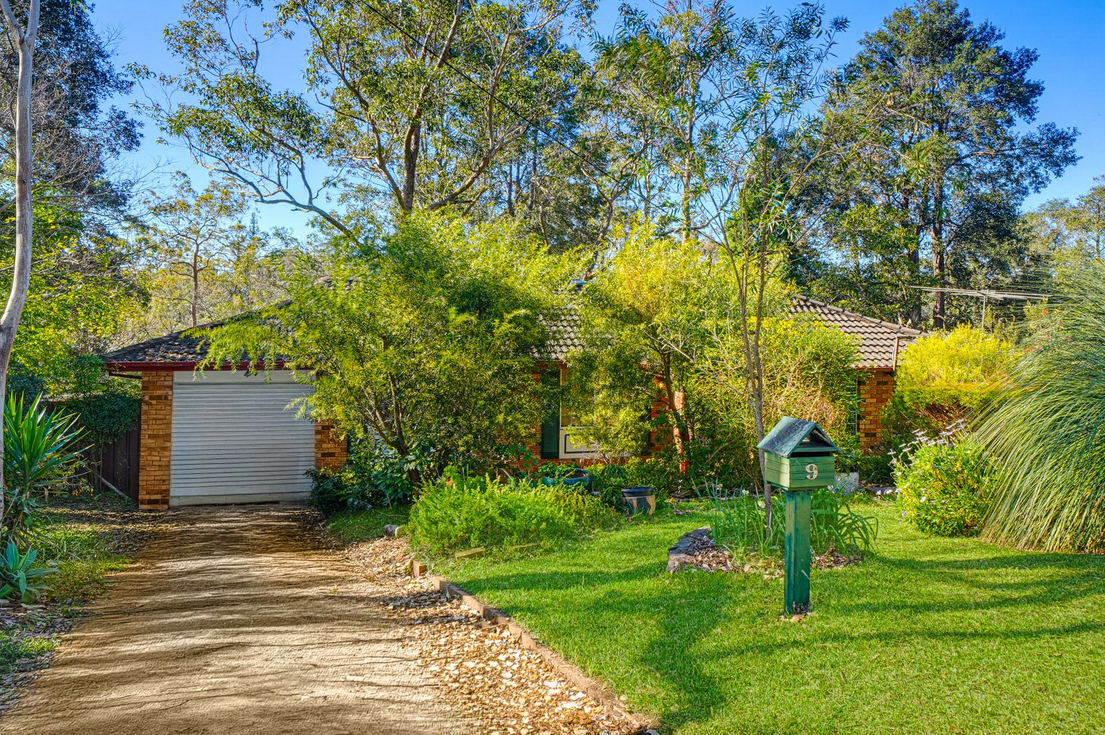 9 Koala Road Blaxland 1