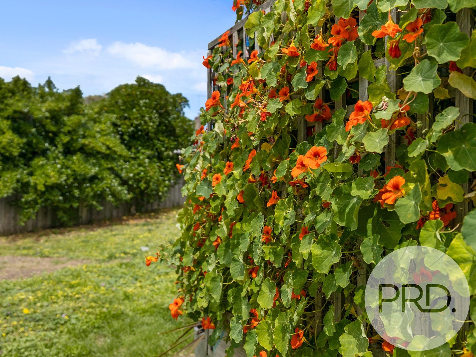 9 Macartney Avenue GOODWOOD 21