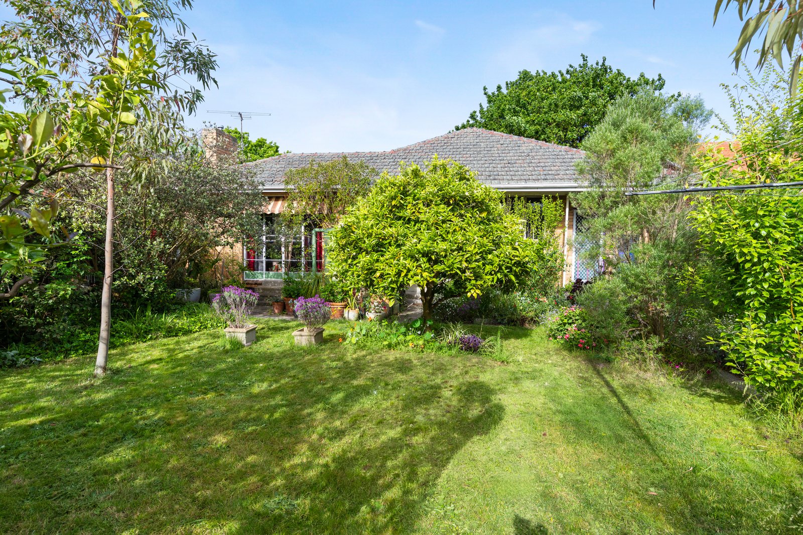 Gallery: 9 Macgregor Street