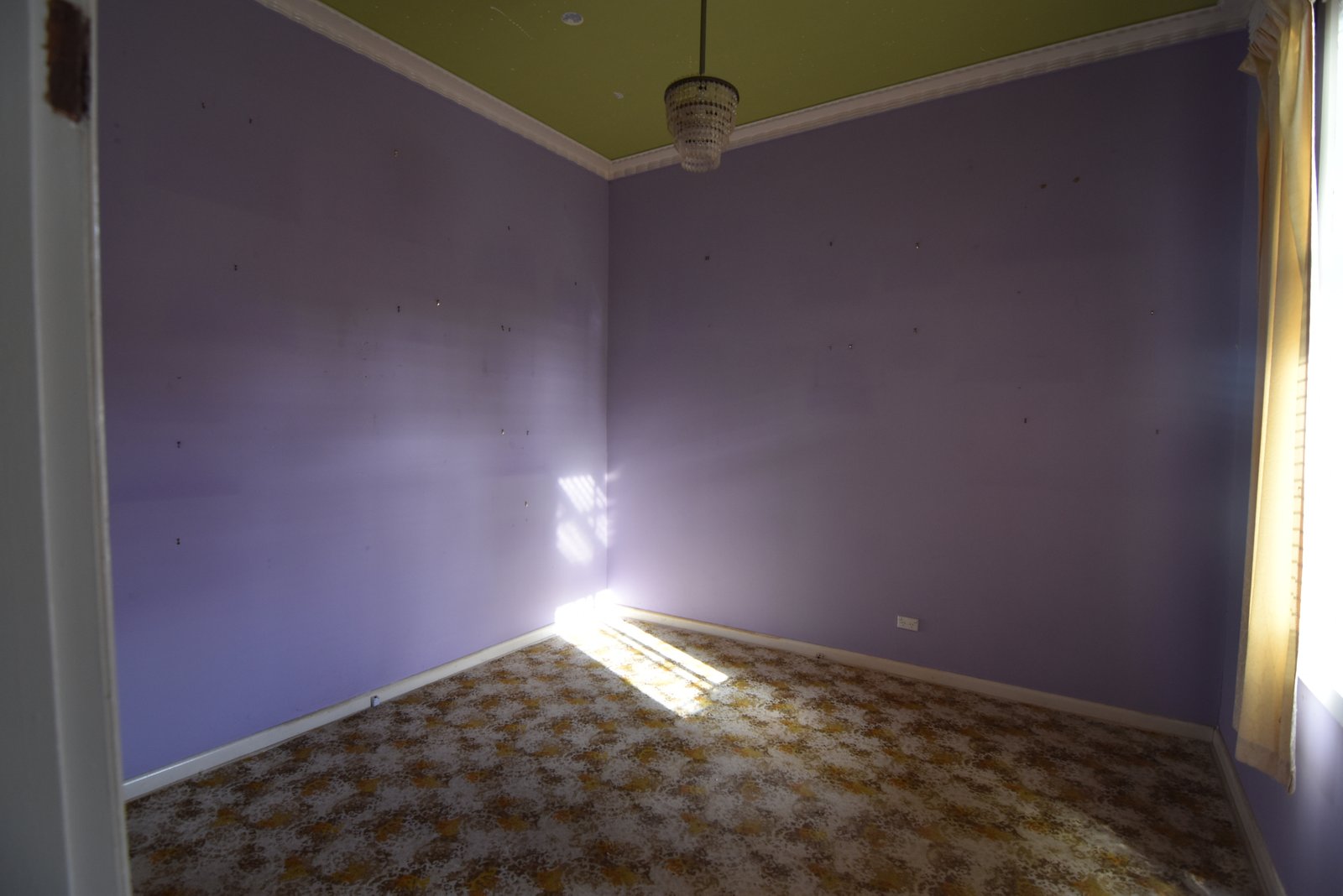 Gallery: 9 Marjorie Avenue