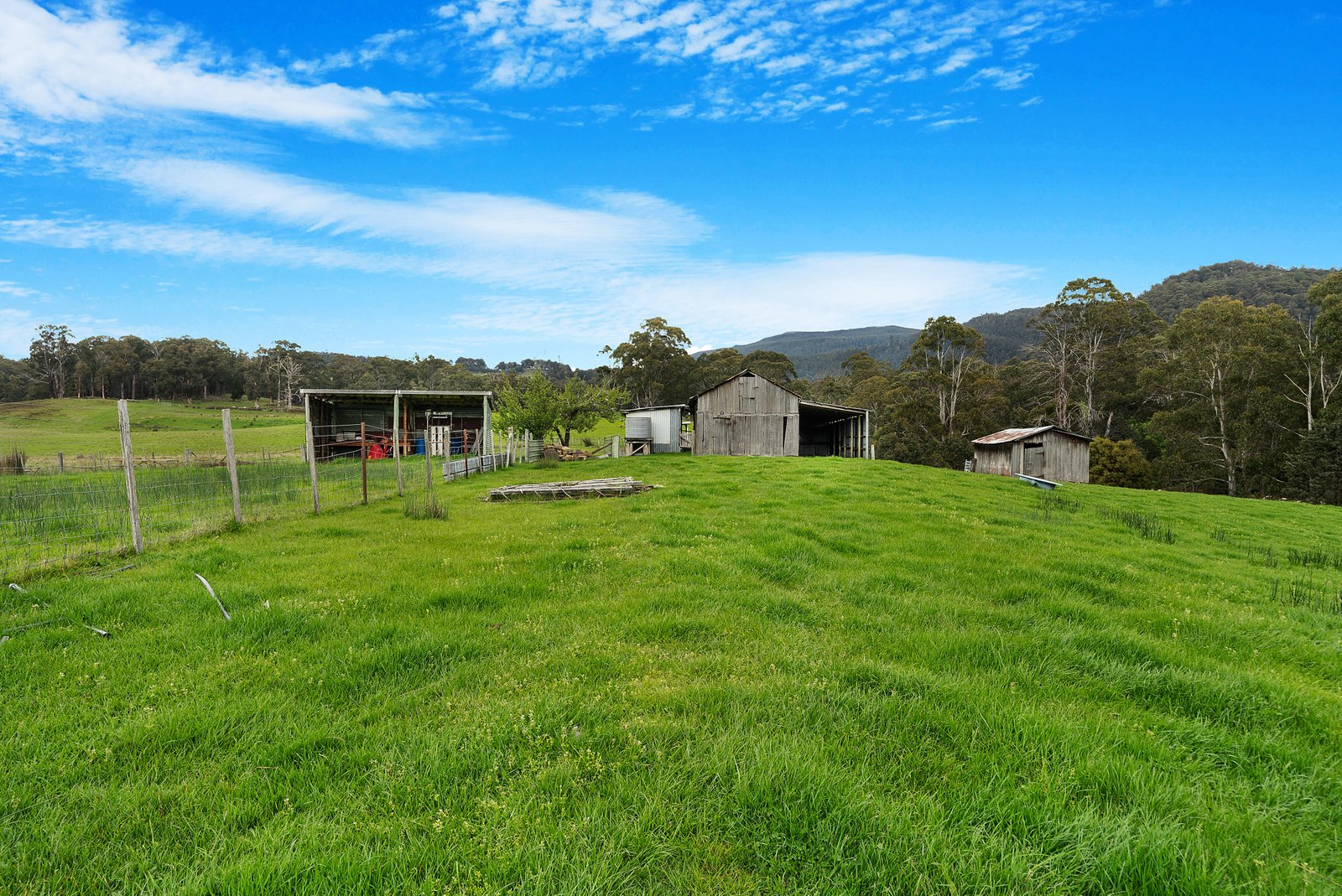 9 Marriotts Road ELLENDALE 14