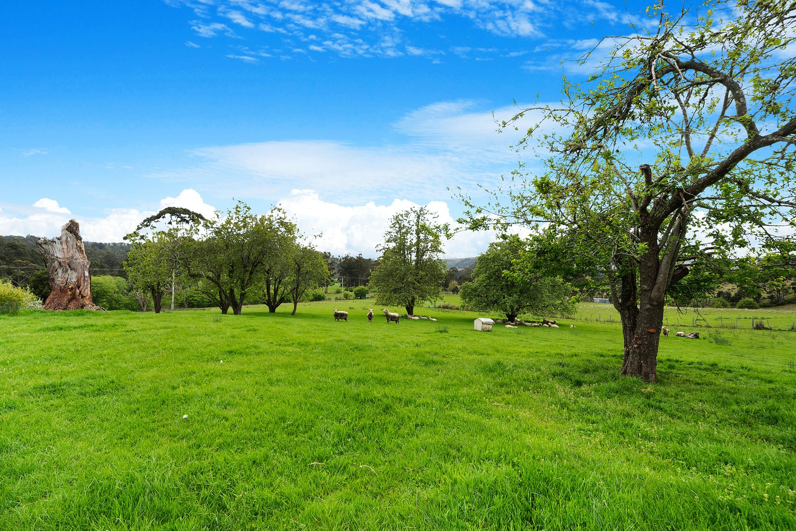 9 Marriotts Road ELLENDALE 21