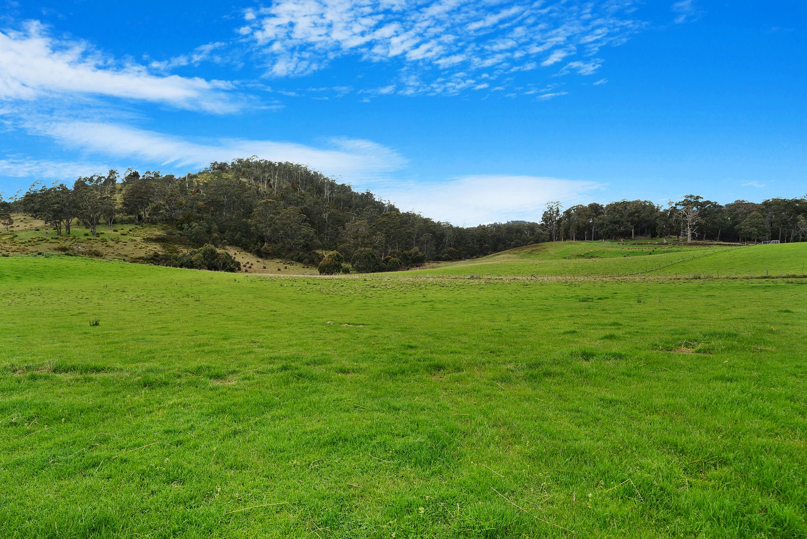 9 Marriotts Road ELLENDALE 24