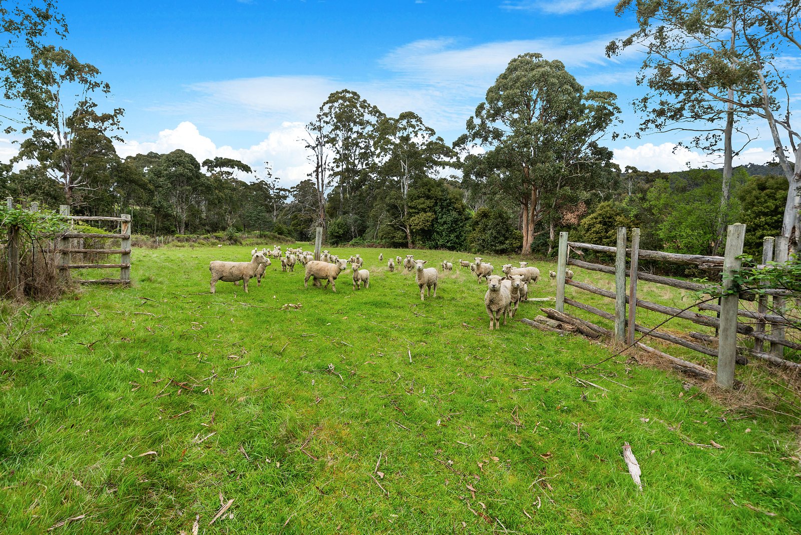 9 Marriotts Road ELLENDALE 25