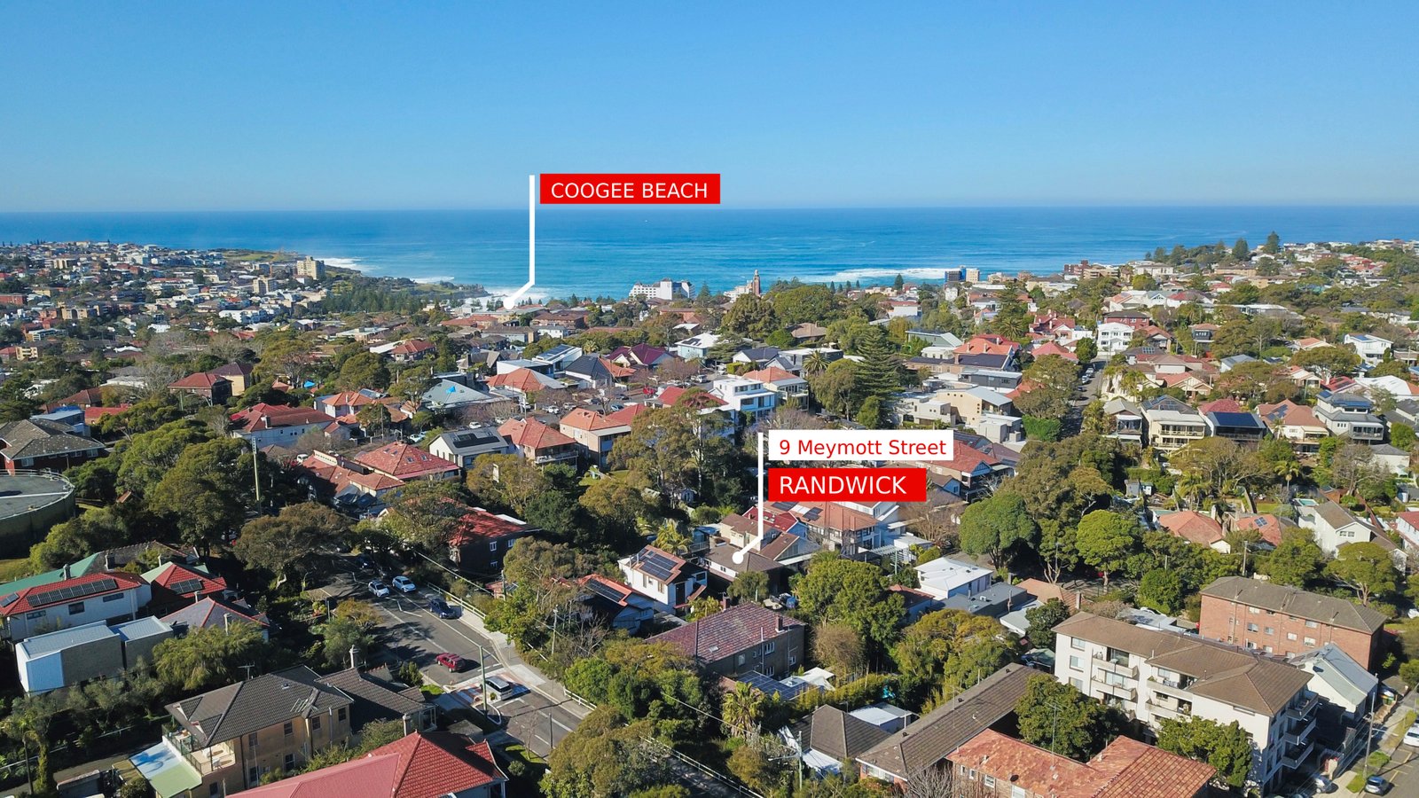 9 Meymott Street RANDWICK 15