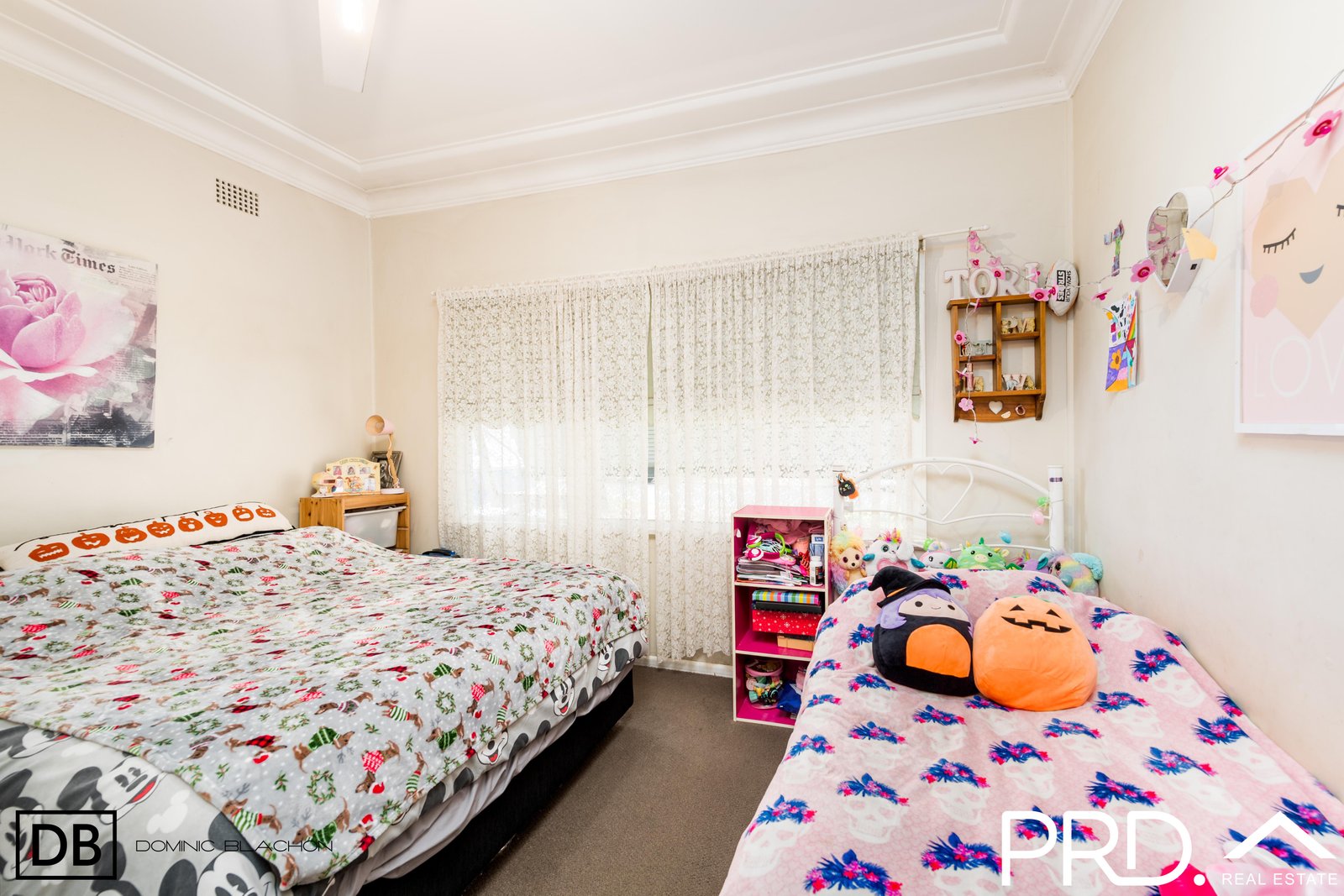 9 Nichols Avenue REVESBY 4