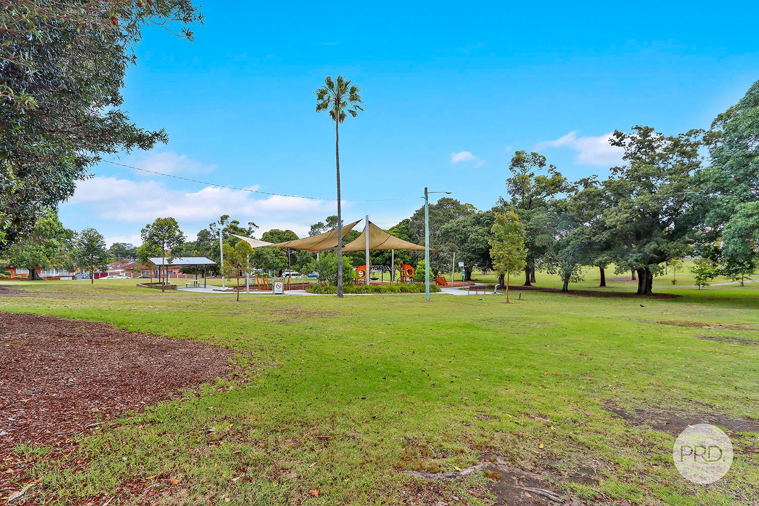 9 Park Ave  BEXLEY 4