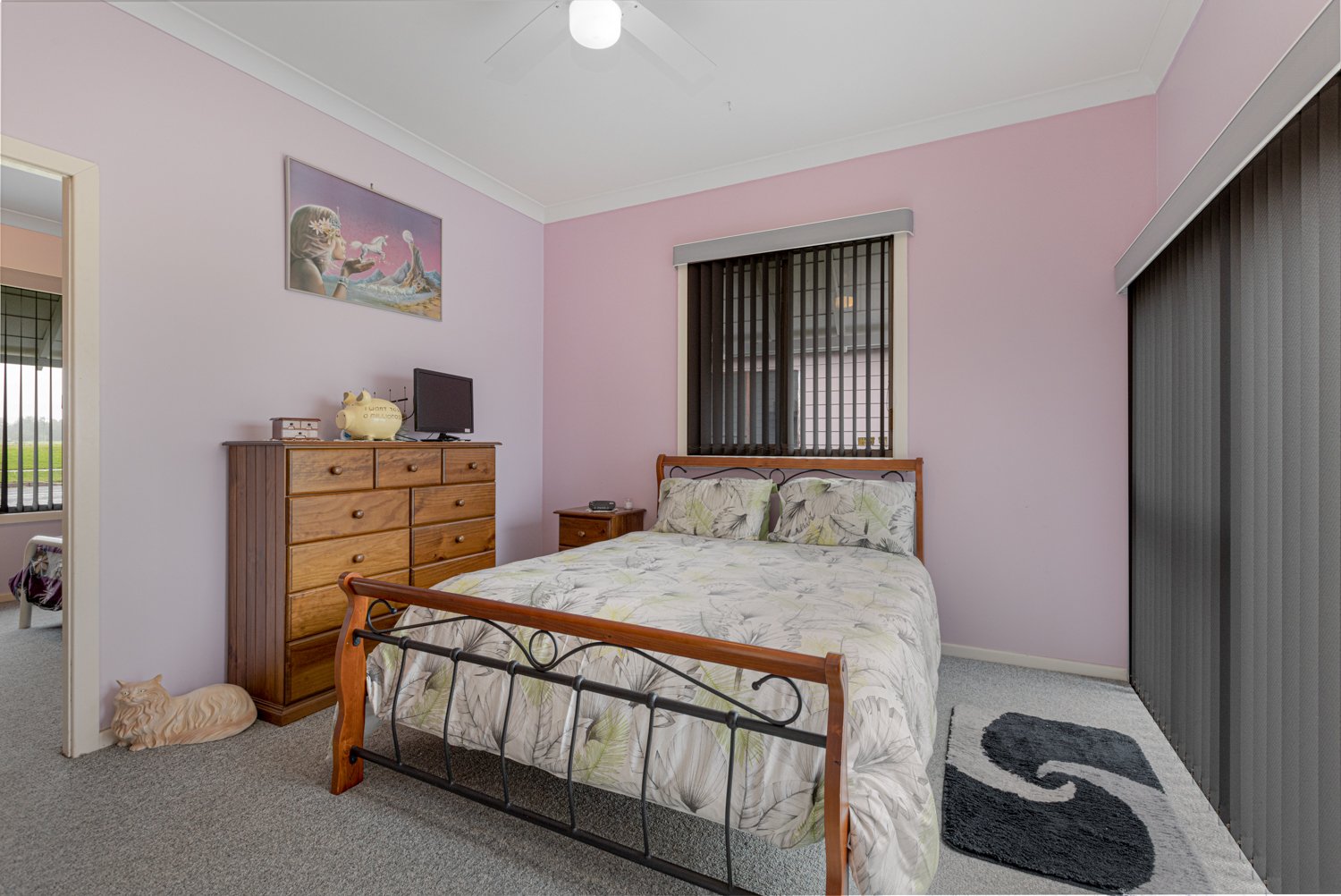 9 Paterson Street HINTON 15