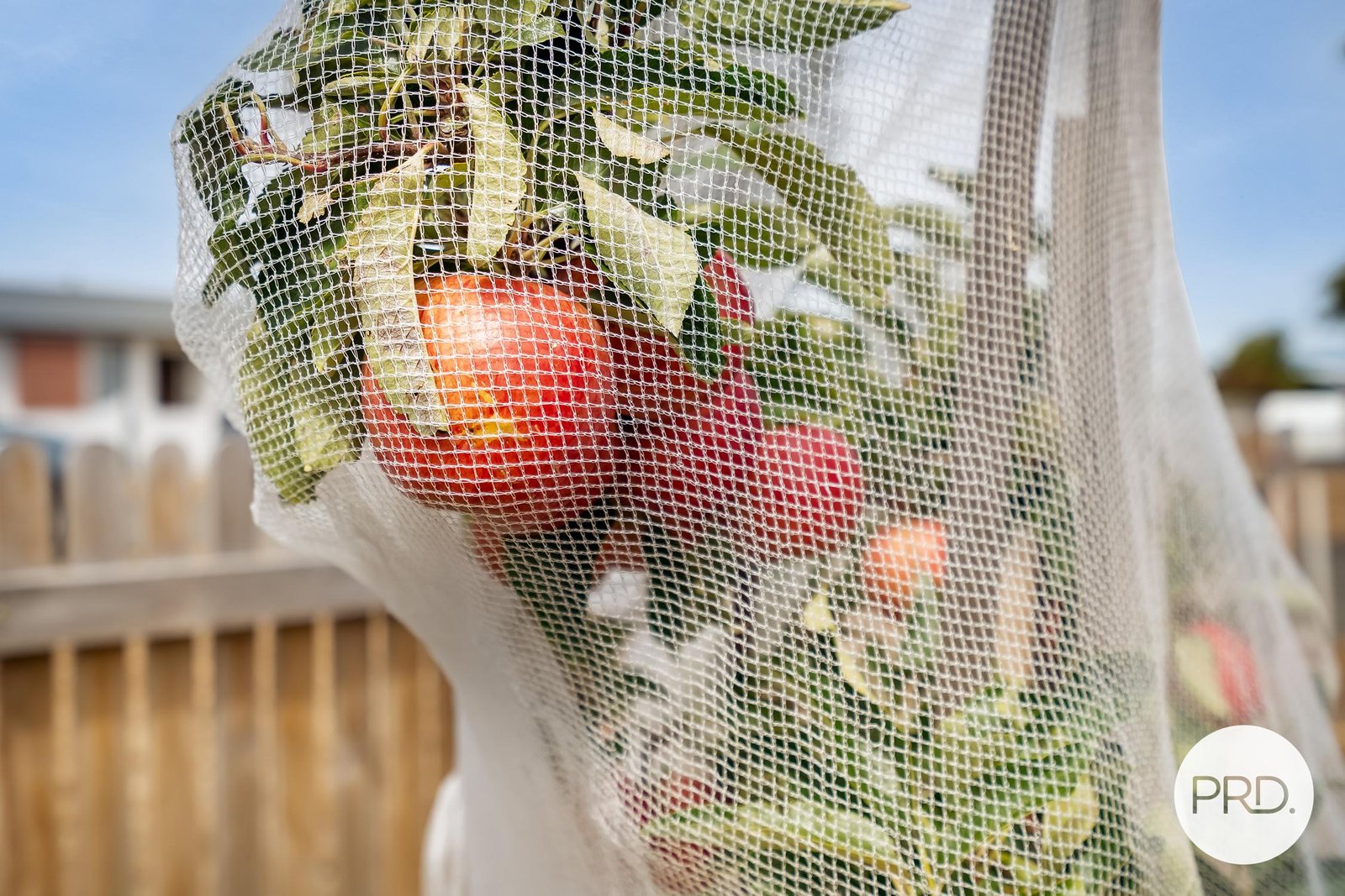 9 Princes Buildings Parade ROKEBY 18