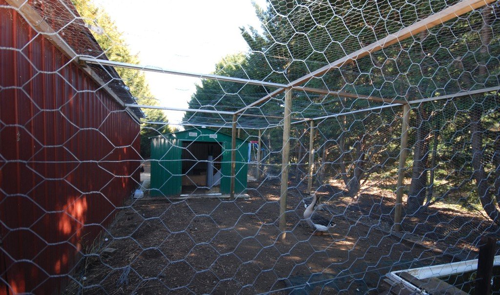 9 Reardon Street BUNGENDORE 23