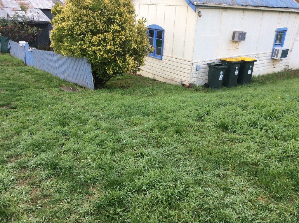 9 Selwyn  TUMBARUMBA 2