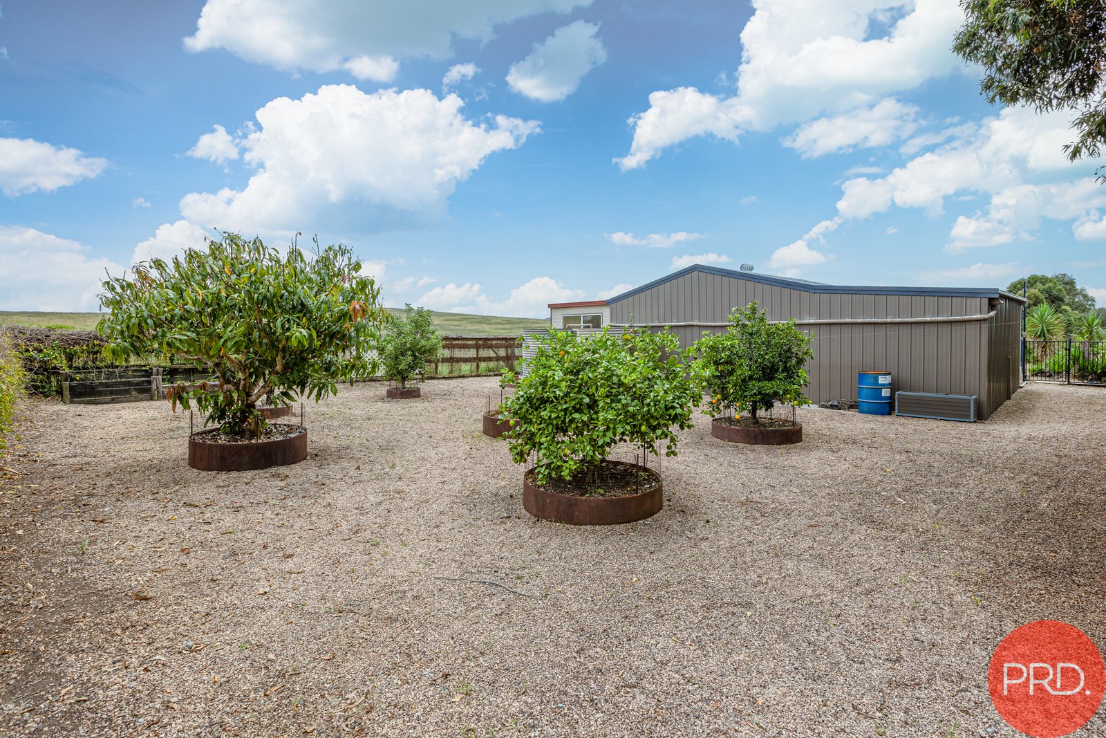 9 She Oak Close WINDELLA 21