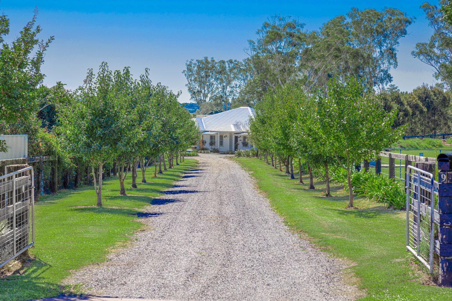 9 Shiraz Close HINTON 1