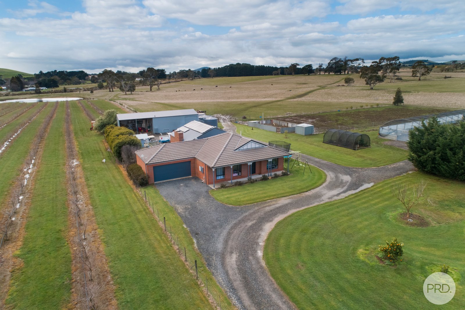 9 Stag Road ALLENDALE 2