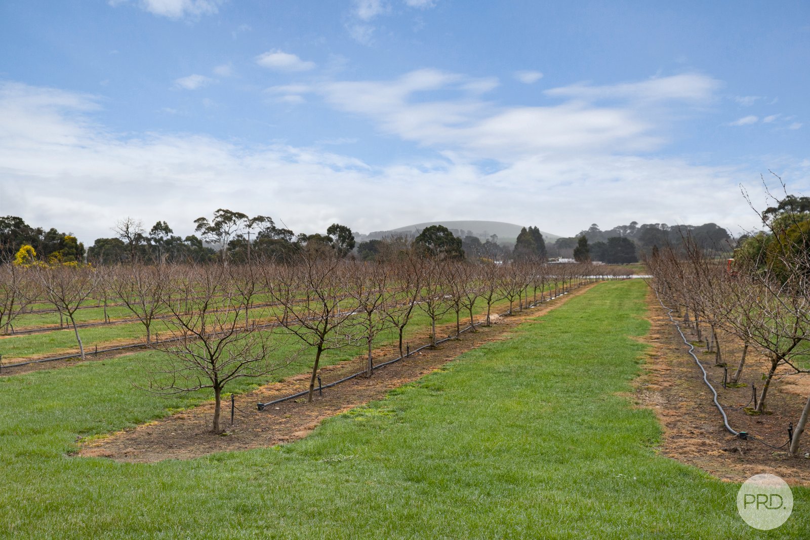 9 Stag Road ALLENDALE 16